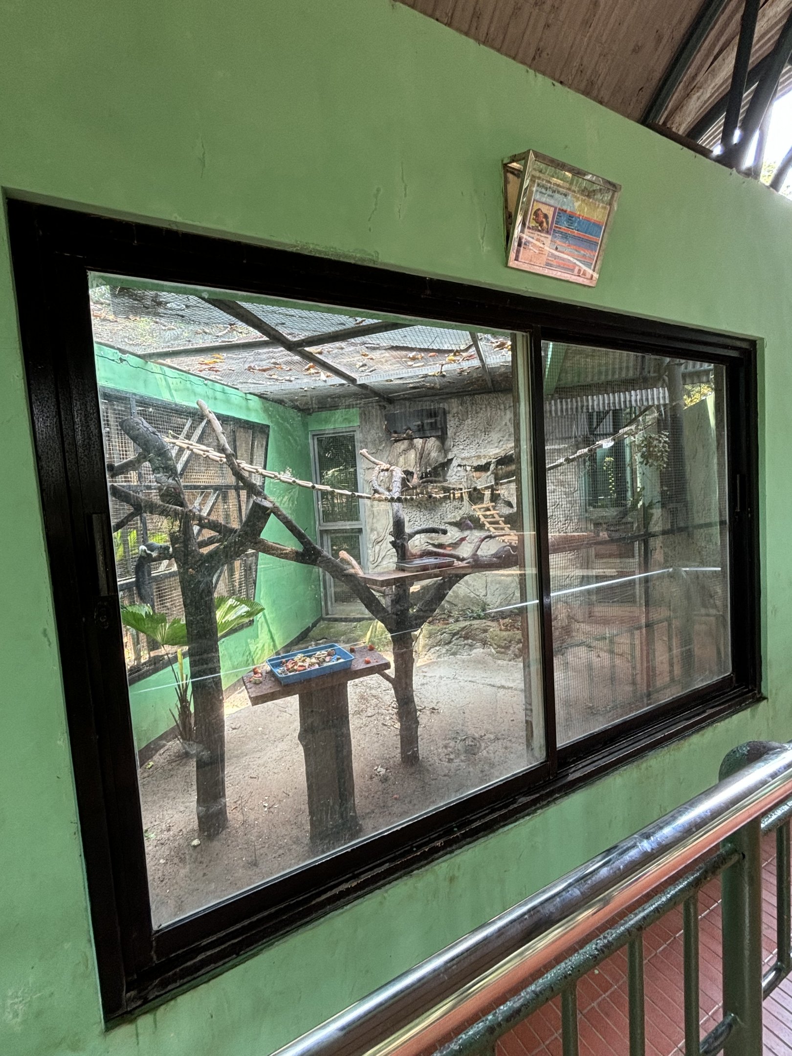 Prevost’s Squirrel Exhibit