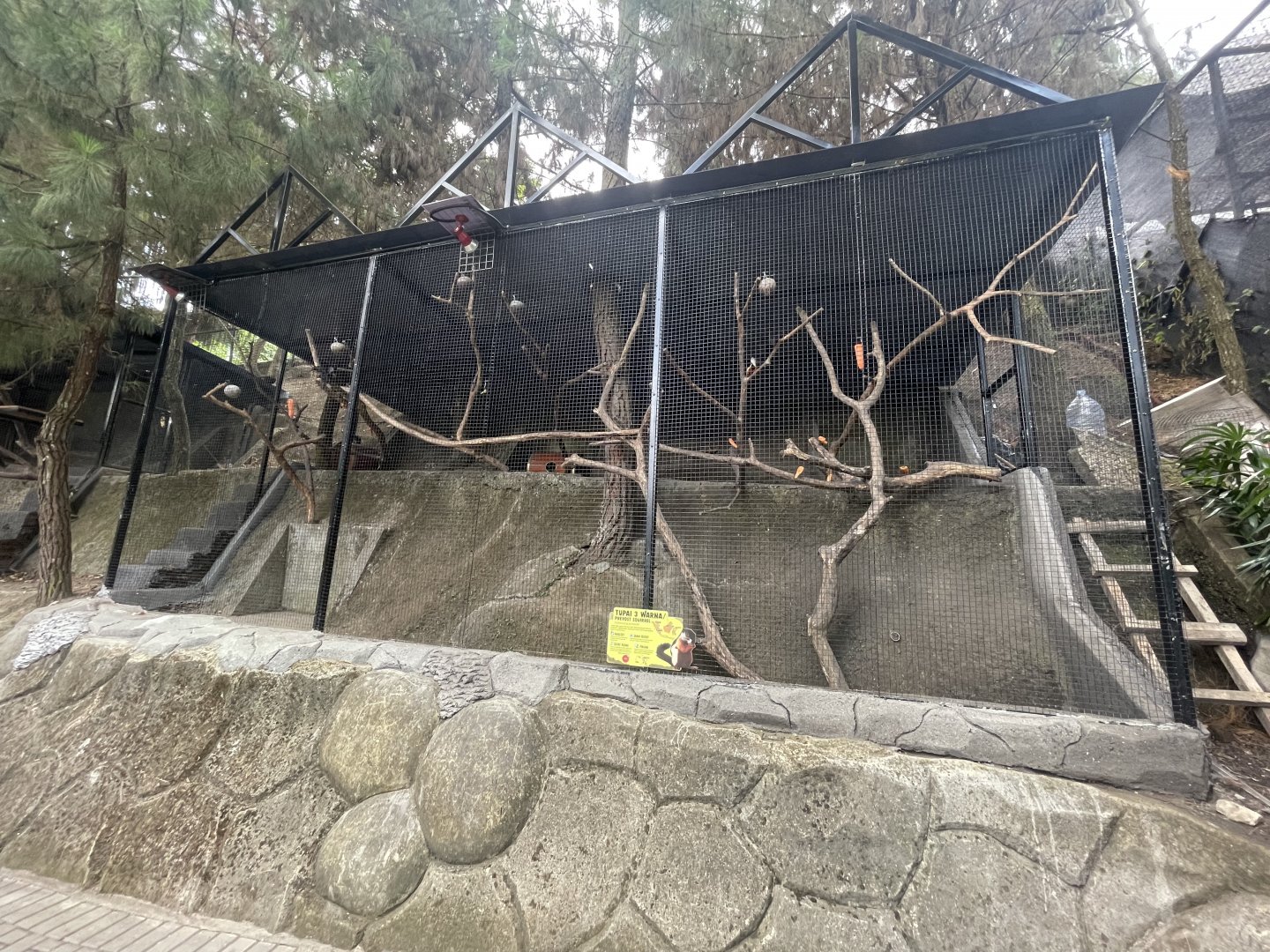 prevost’s squirrel exhibit