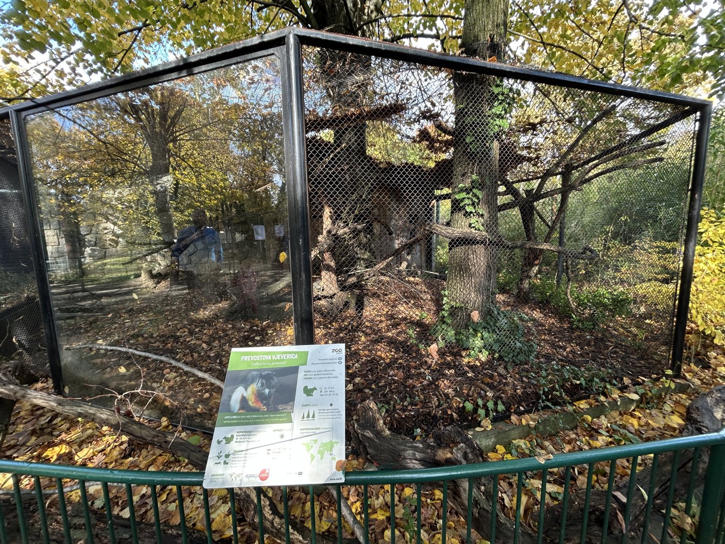 Prevost’s Squirrel Exhibit