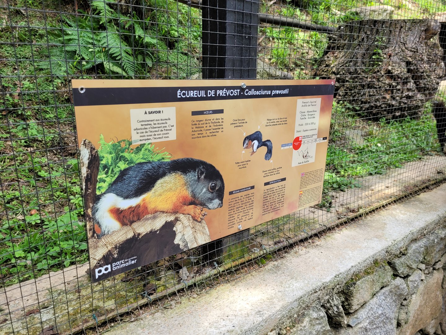 Prevost's squirrel sign -Parc Animalier des Pyrénées (2023)