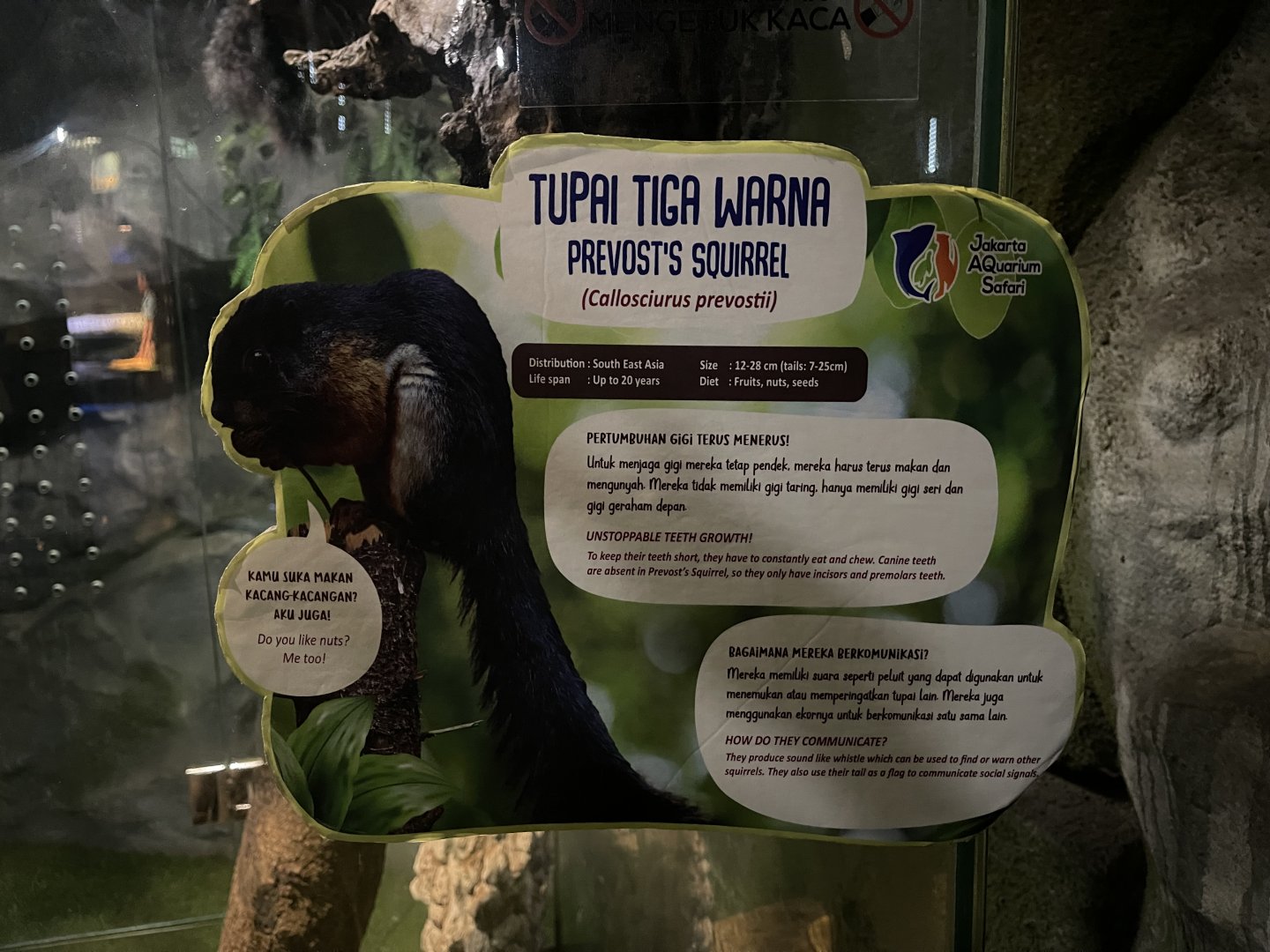 prevost’s squirrel signage