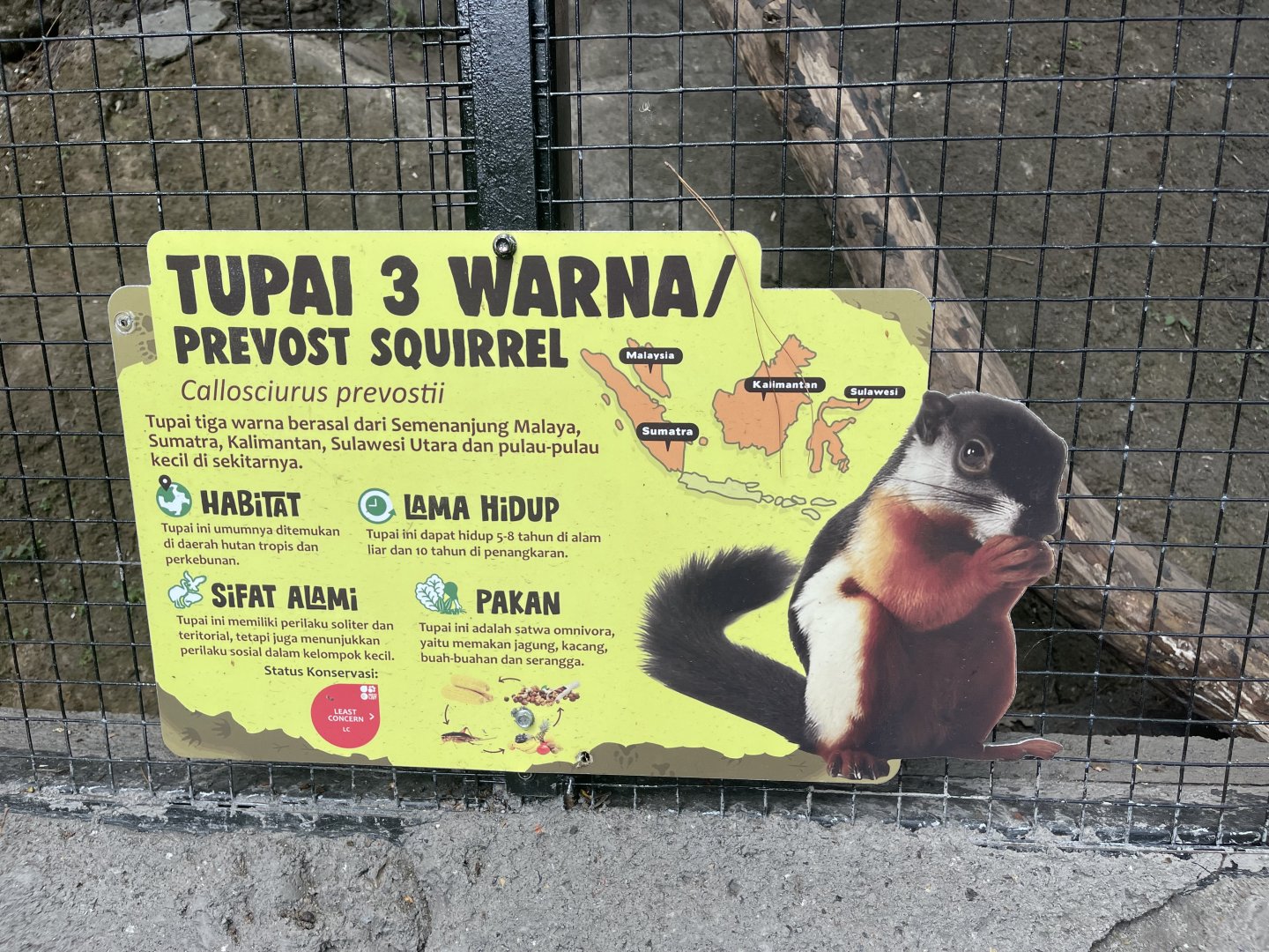 prevost’s squirrel signage