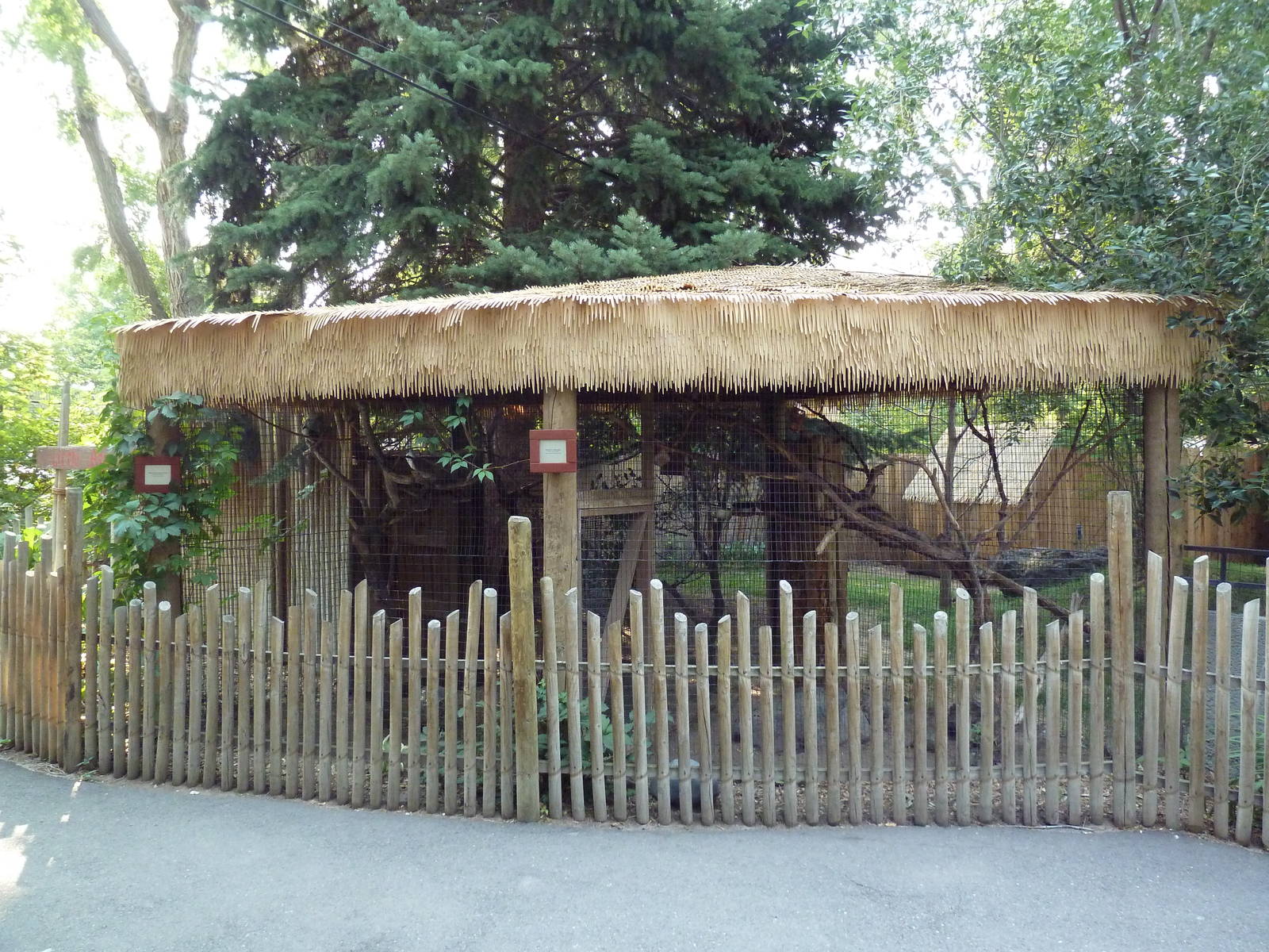 Prevost's Squirrel + White-Crested Laughing Thrush Exhibits