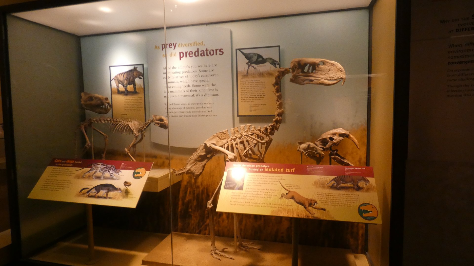 Prey & Predators Adaptation Display, Evolving Planet - Feb. 2022