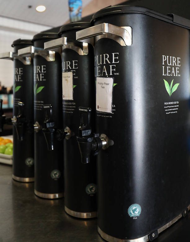 prickly pear cactus iced tea