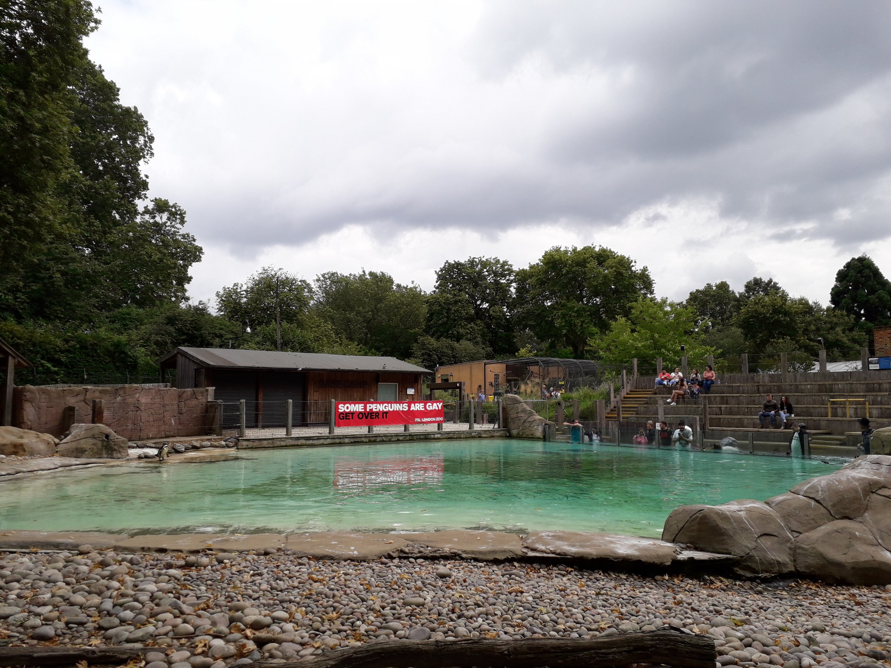 Pride month sign at the penguins