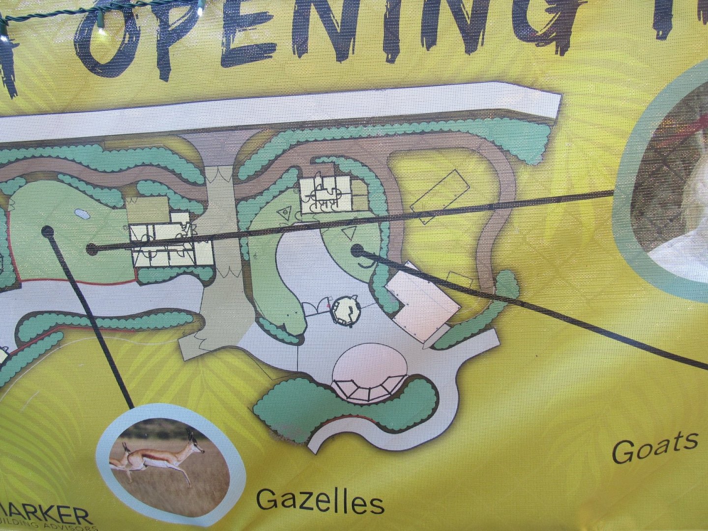 Pride of Africa banner up close