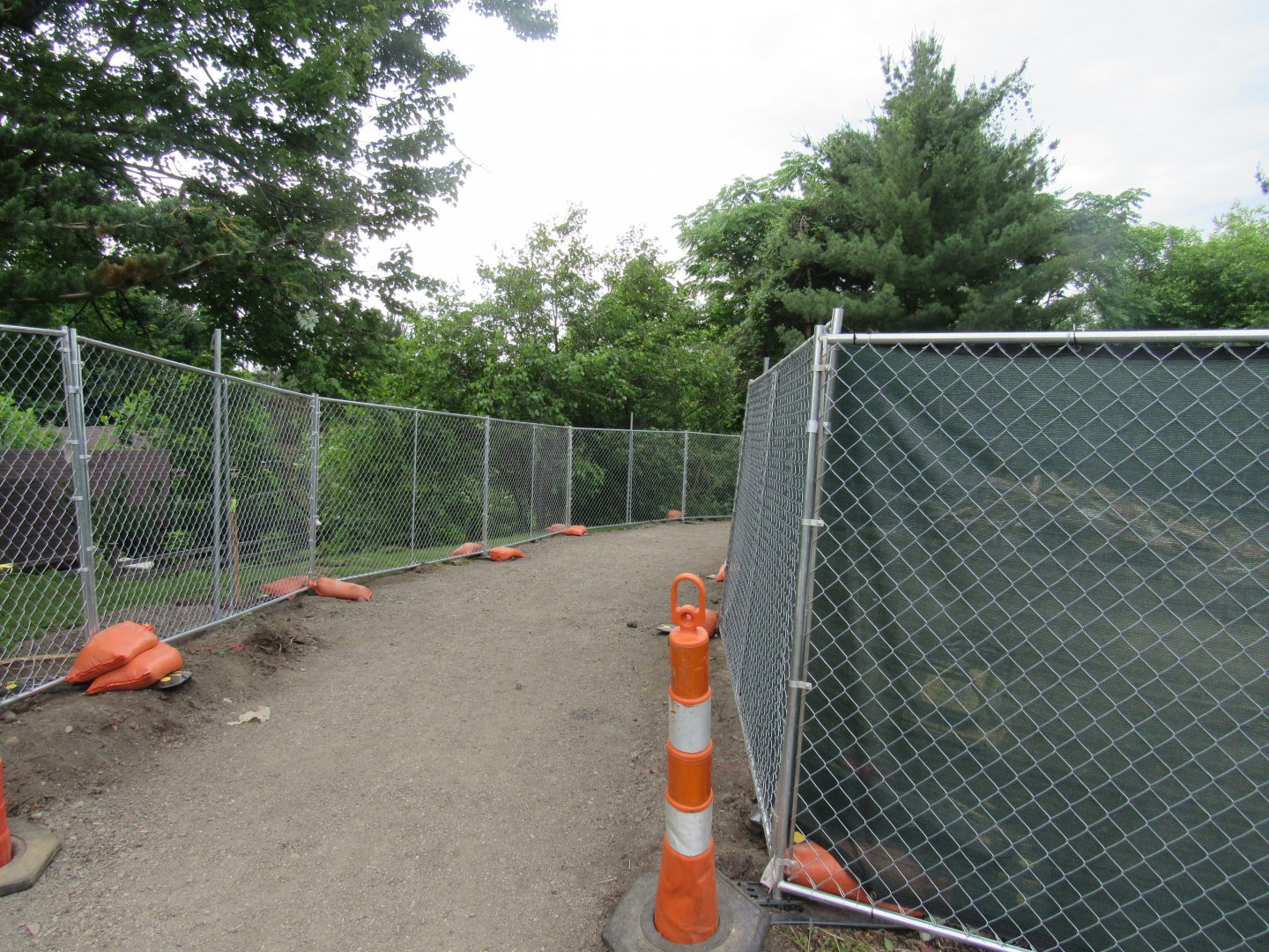 Pride of Africa Construction - Construction Bypass Path Towards Grizzly Ridge