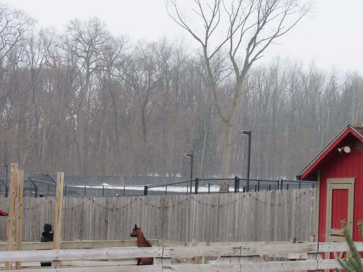 Pride of Africa land clearing