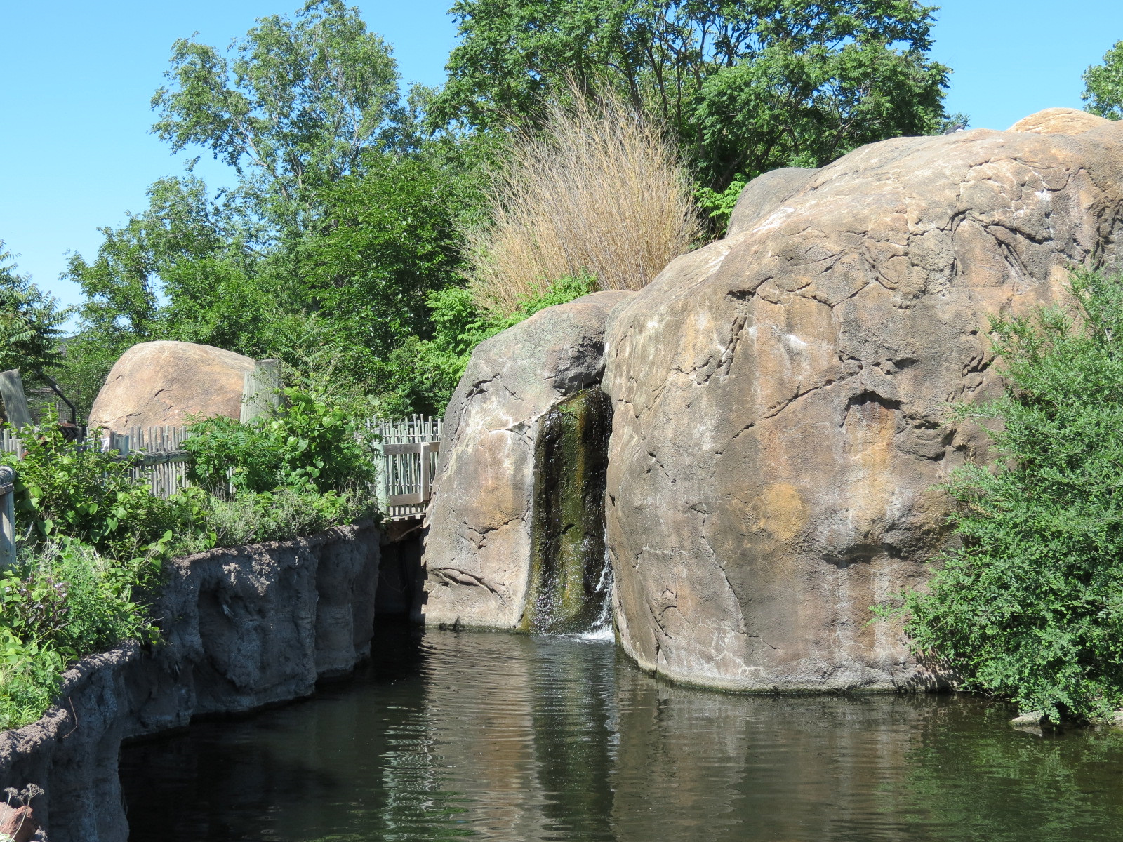 Pride of the Plains - African Lion Exhibit