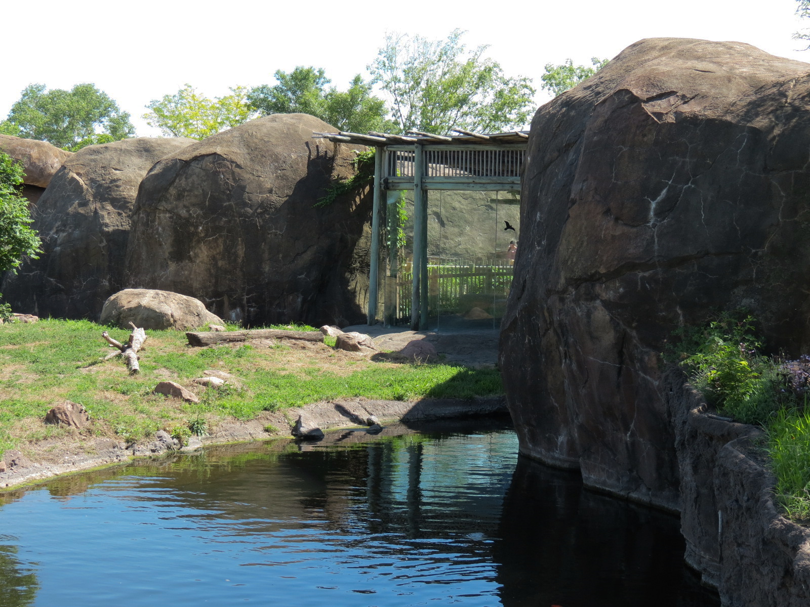 Pride of the Plains - African Lion Exhibit