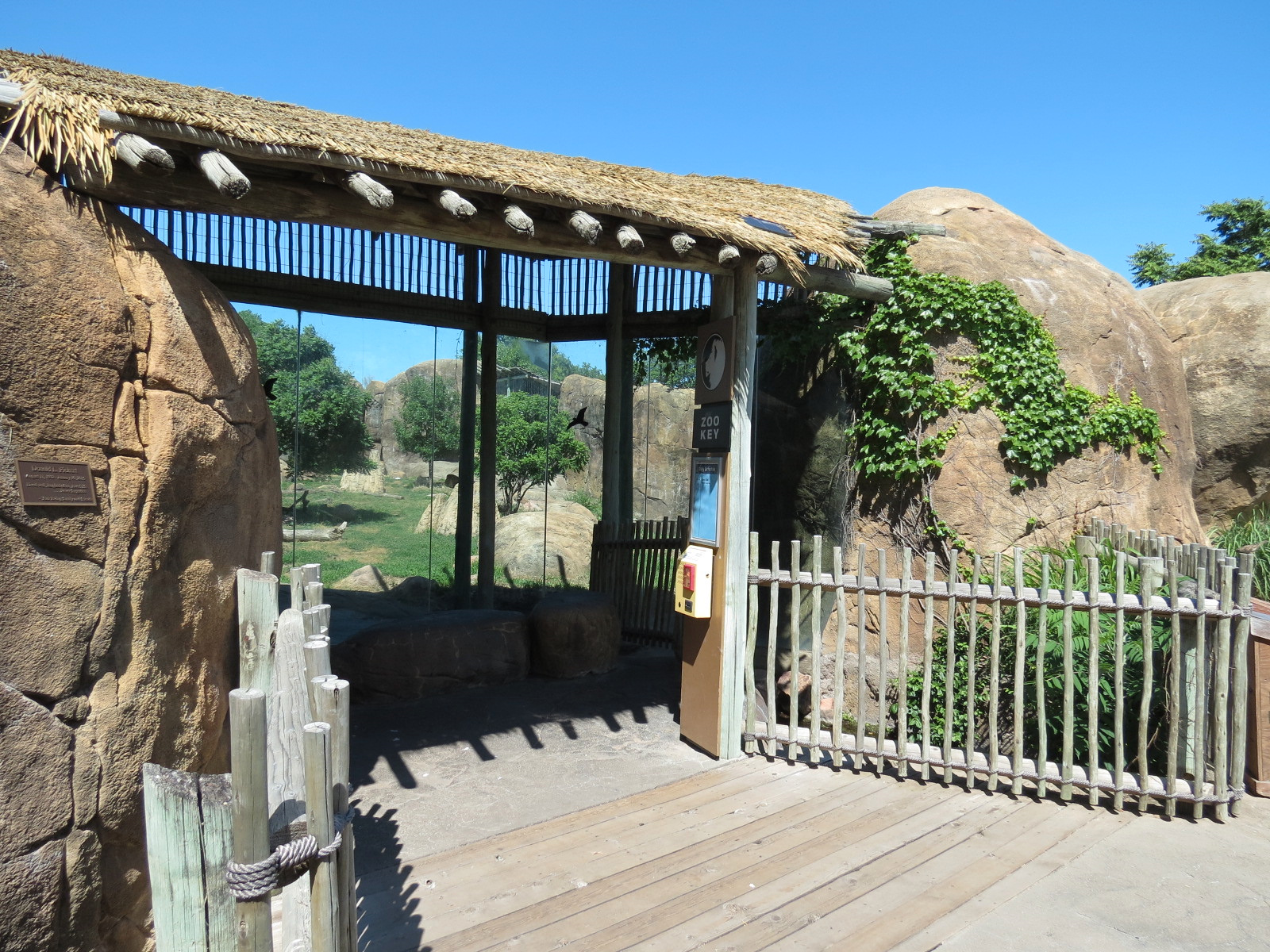 Pride of the Plains - African Lion Exhibit