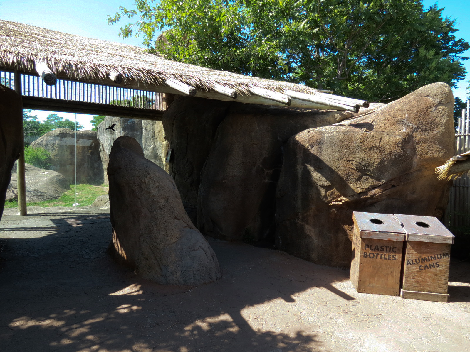 Pride of the Plains - African Lion Exhibit
