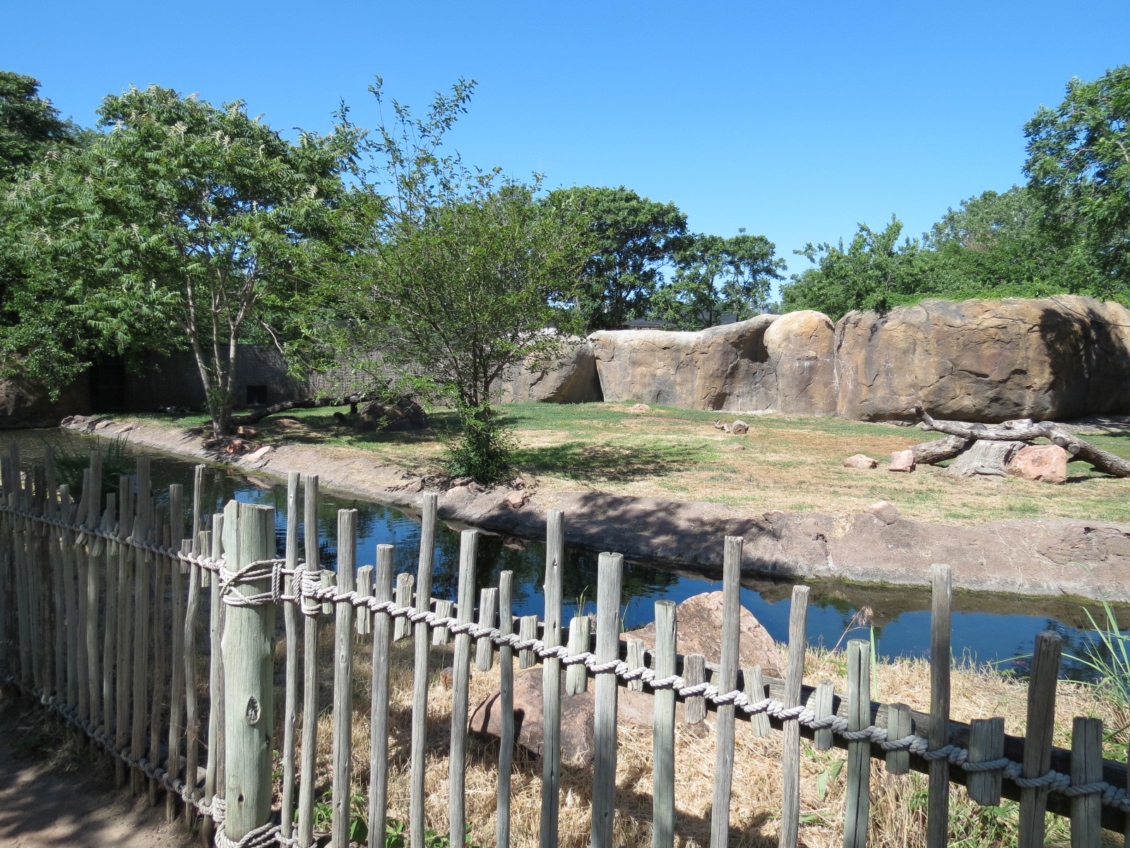 Pride of the Plains - African Painted Dog Exhibit