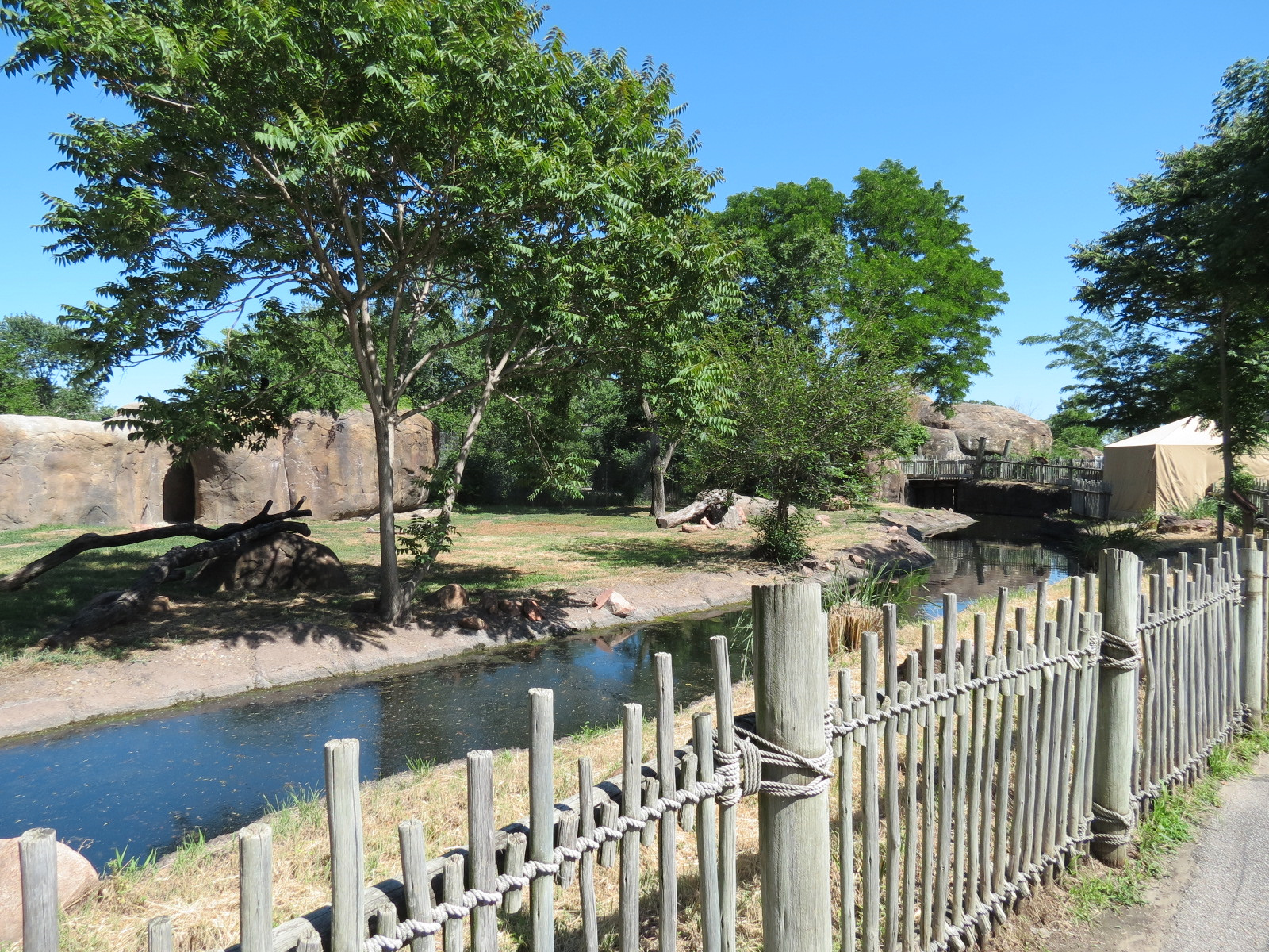 Pride of the Plains - African Painted Dog Exhibit