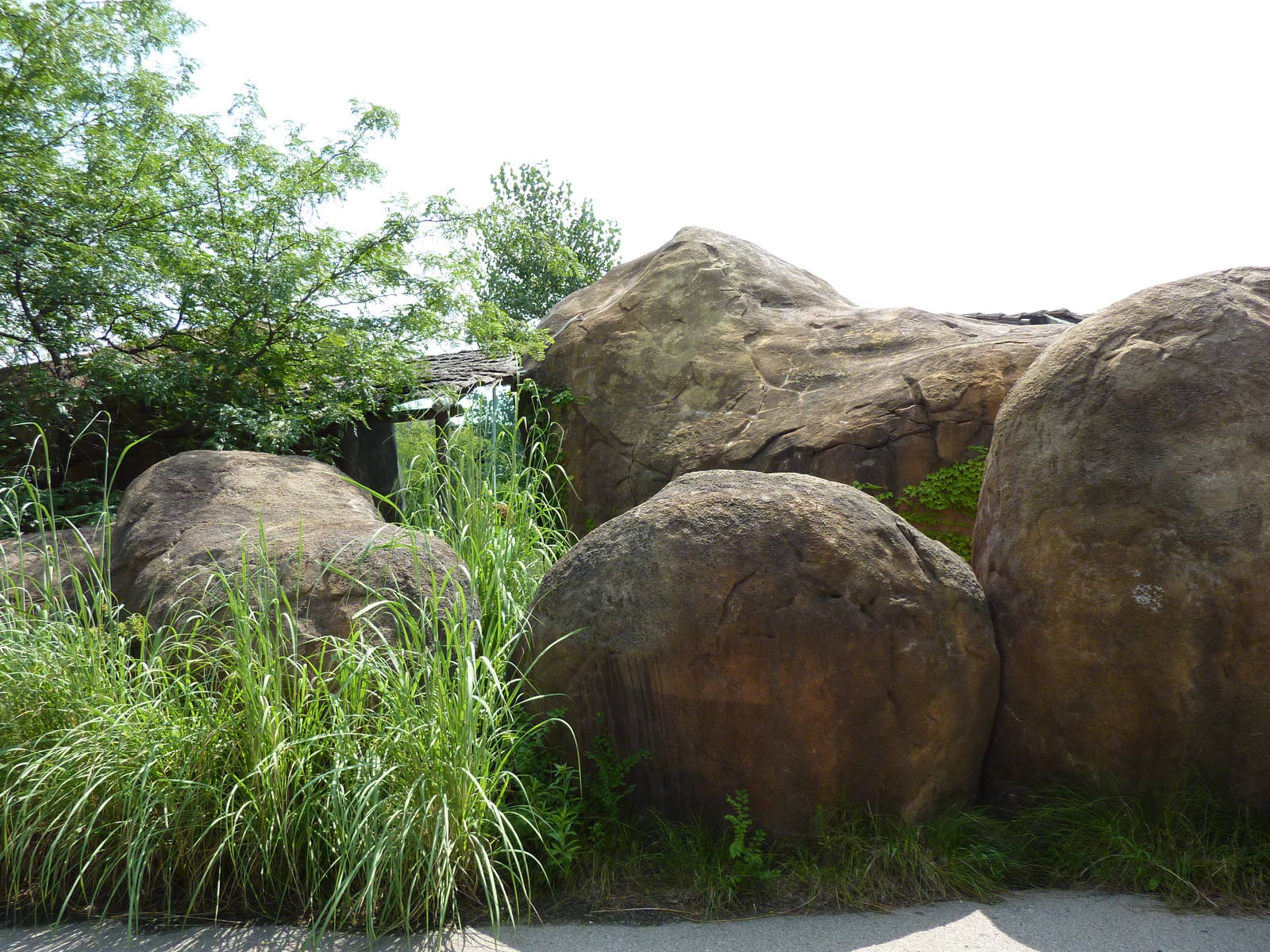 Pride Of The Plains - Exit Kopje