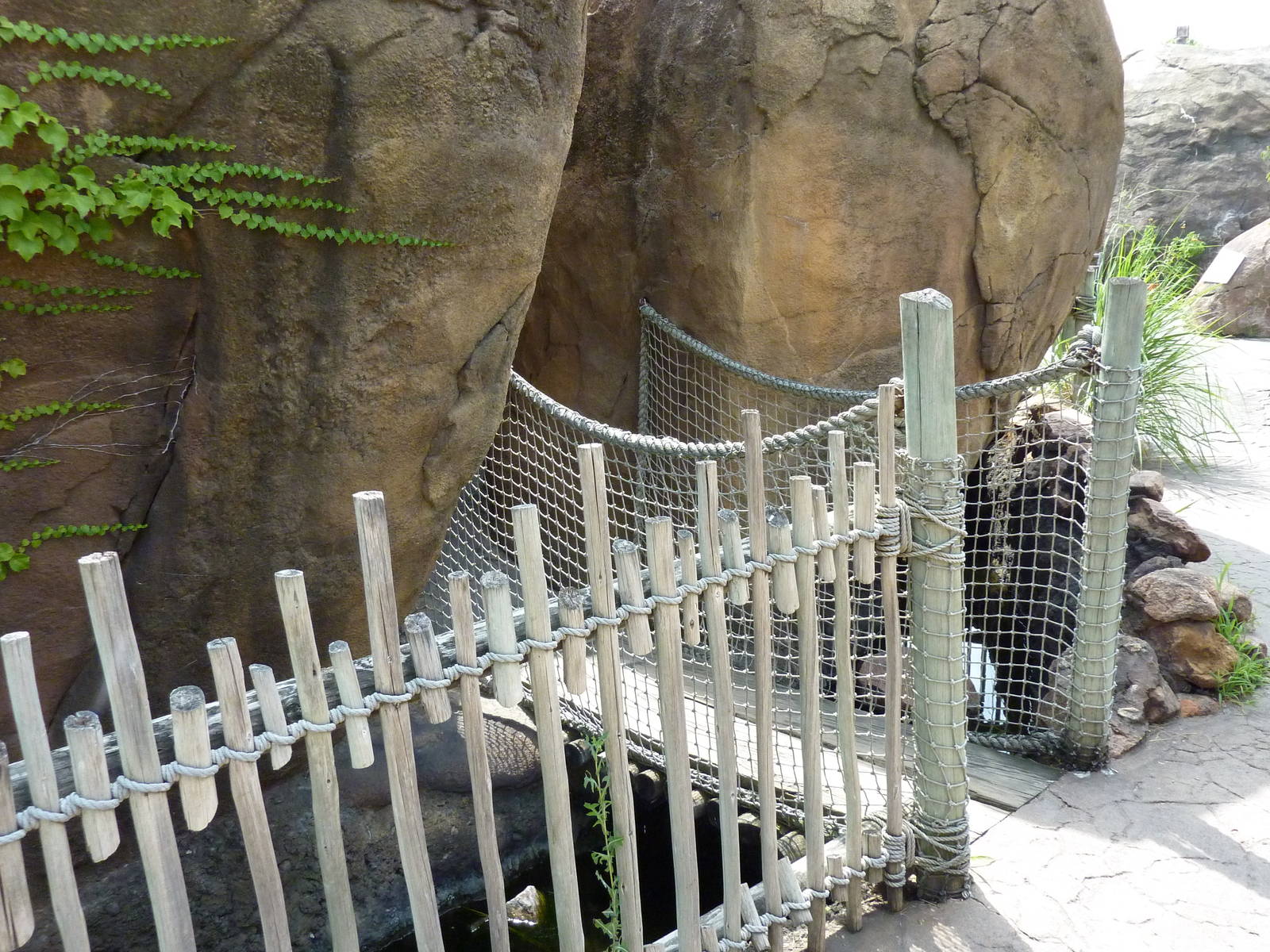 Pride Of The Plains - Lion Exhibit Suspension Bridge