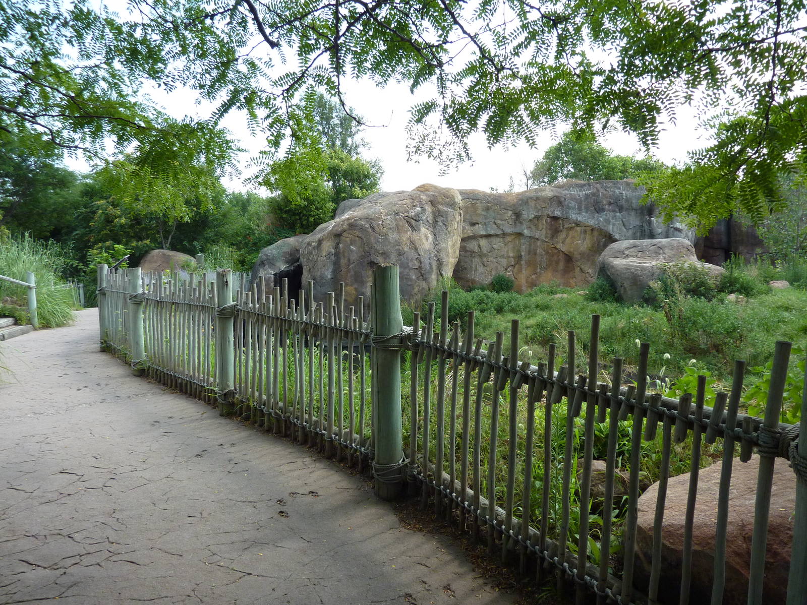 Pride Of The Plains - Lion Exhibit Viewing Area