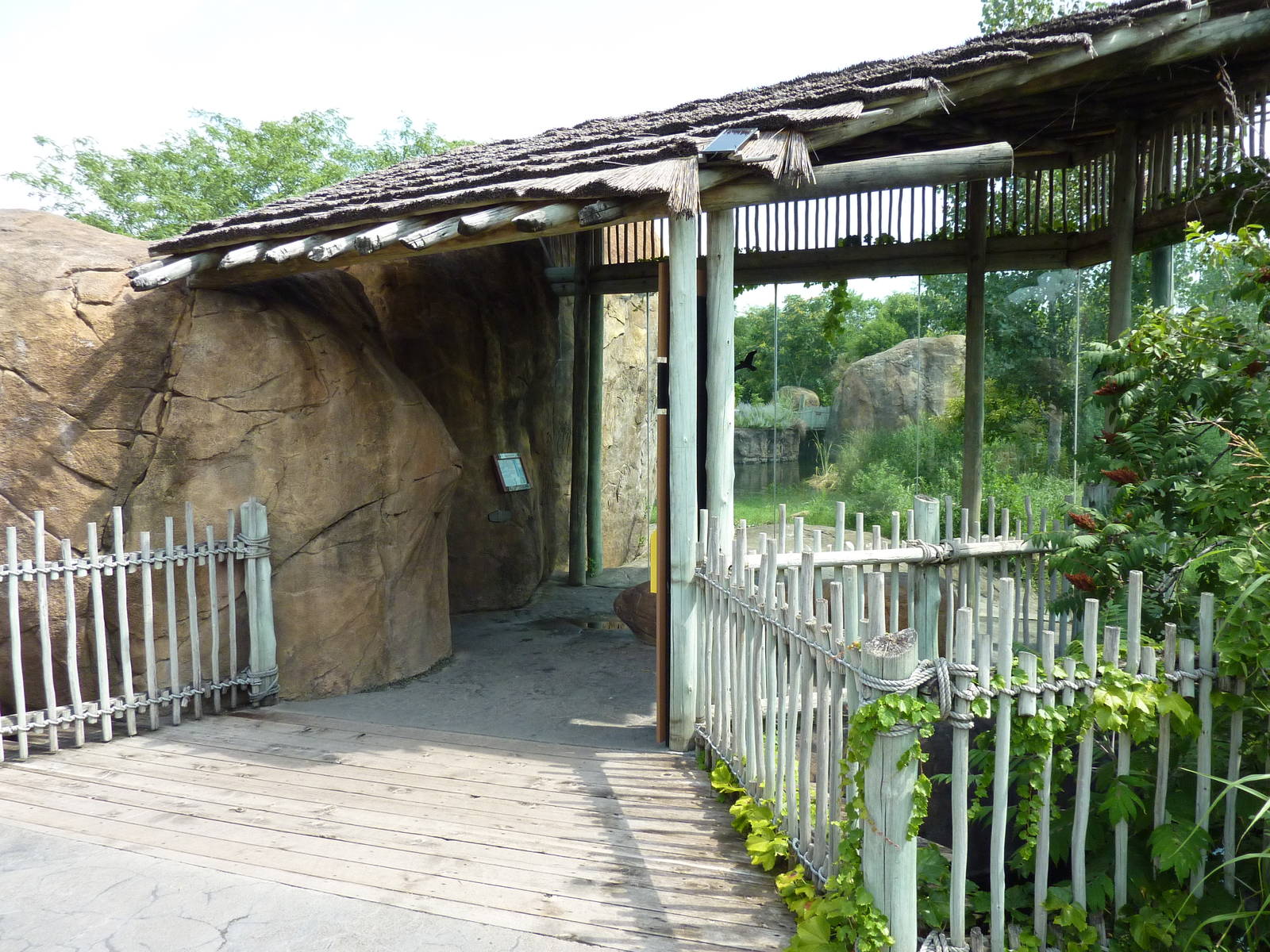 Pride Of The Plains - Lion Exhibit Viewing Windows