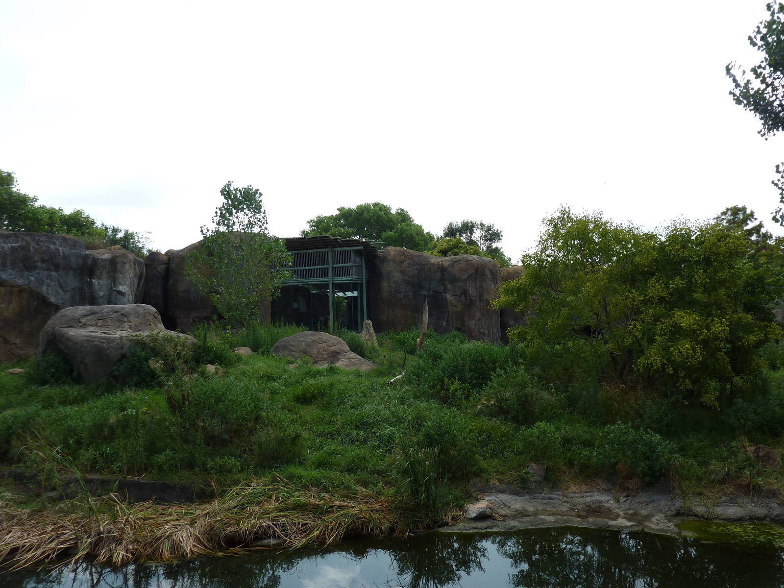 Pride Of The Plains - Lion Exhibit