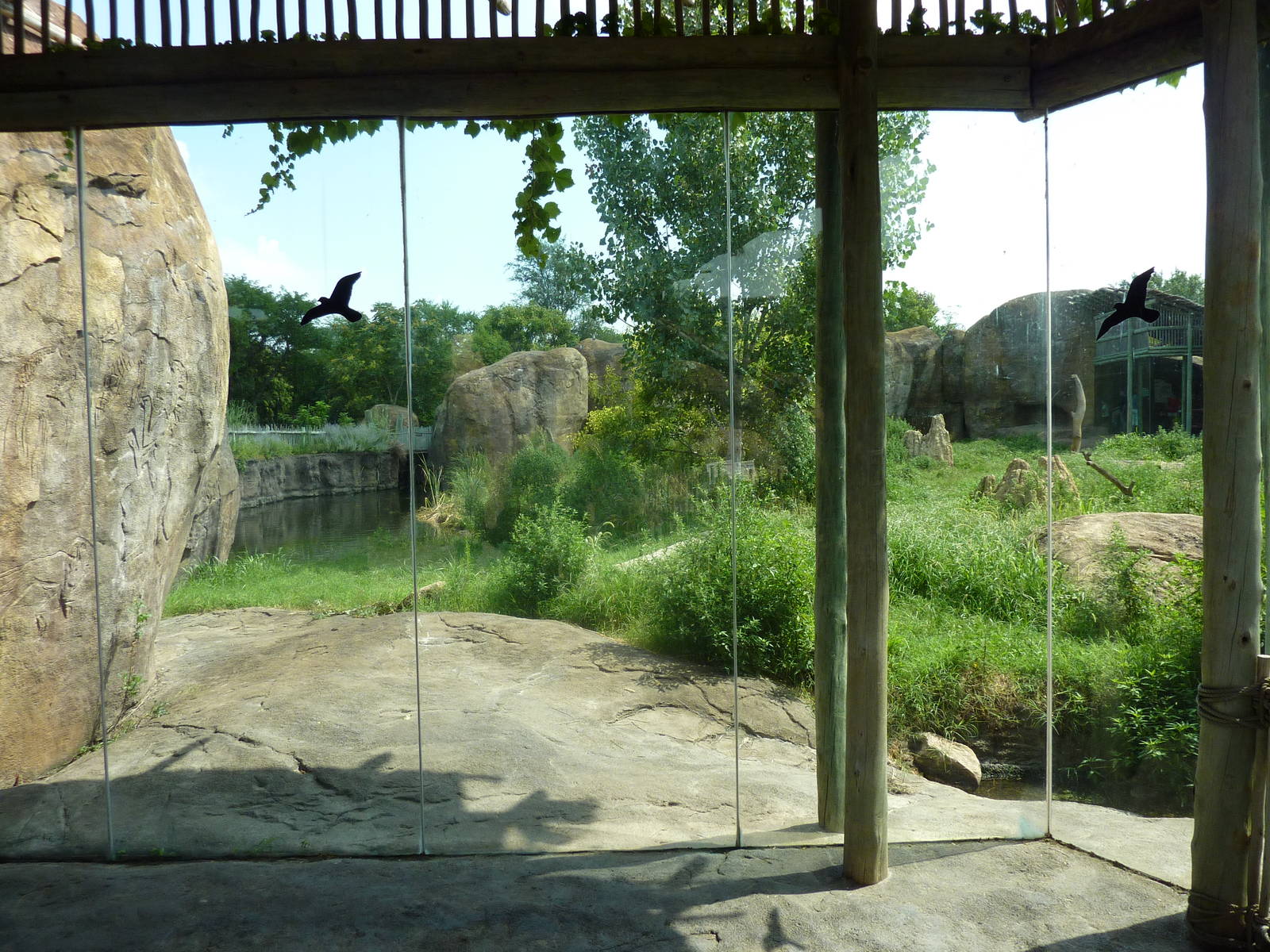 Pride Of The Plains - Lion Exhibit