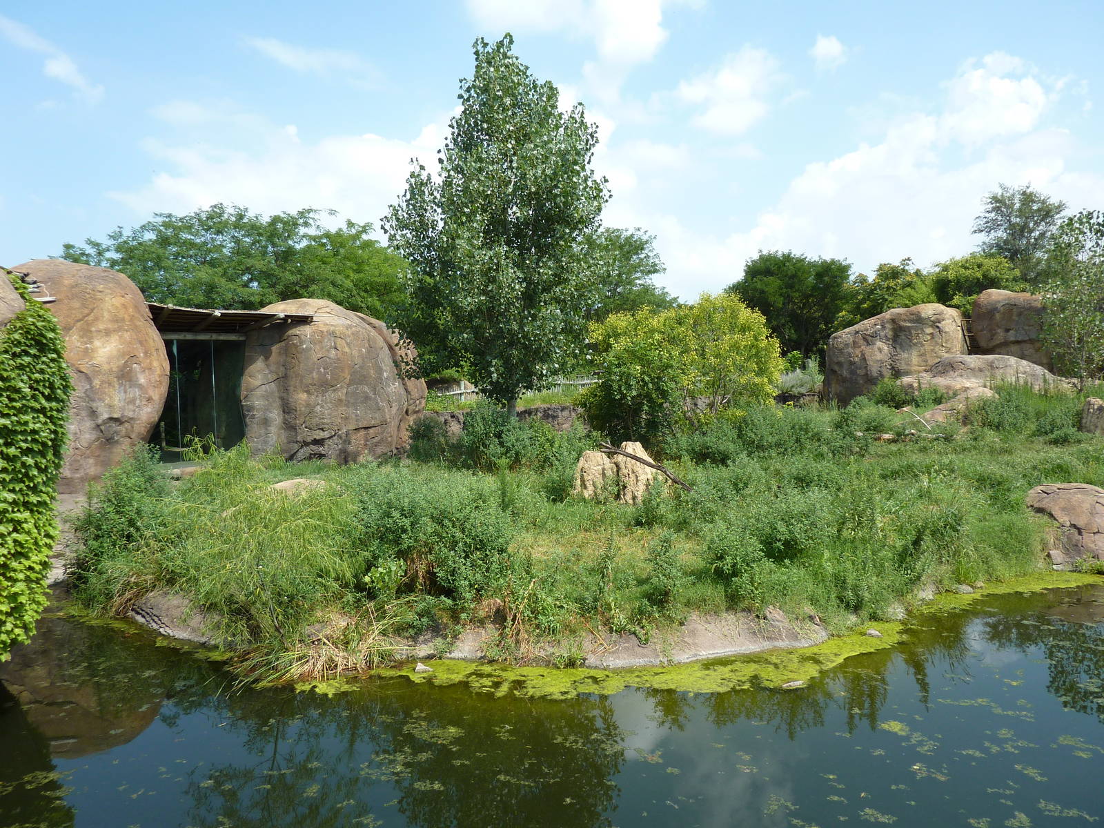 Pride Of The Plains - Lion Exhibit