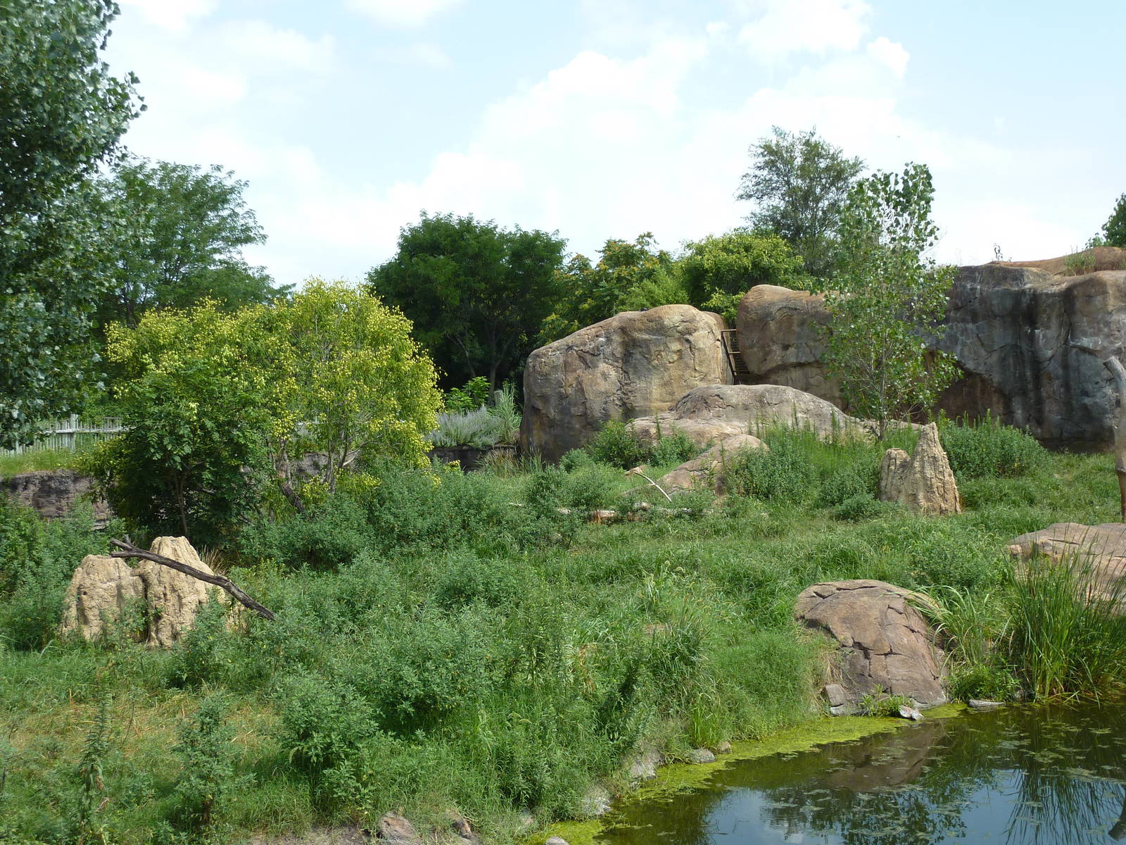 Pride Of The Plains - Lion Exhibit