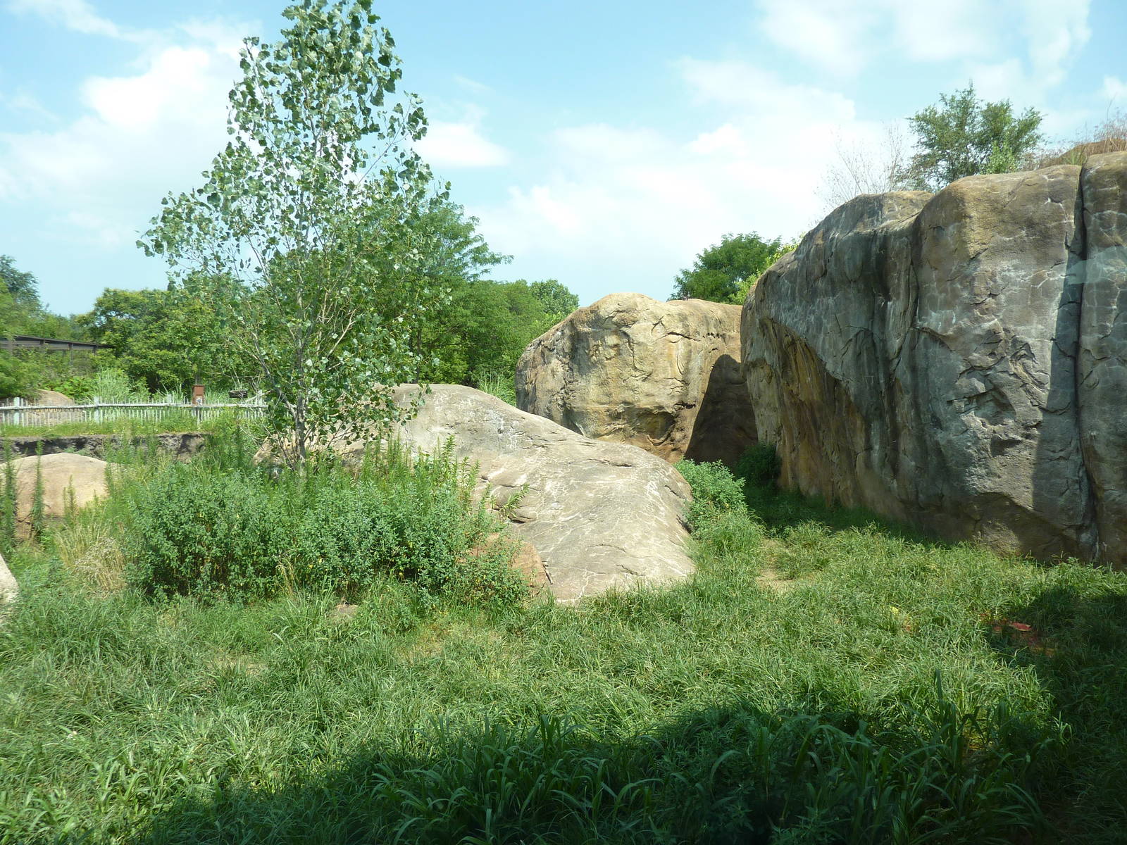 Pride Of The Plains - Lion Exhibit