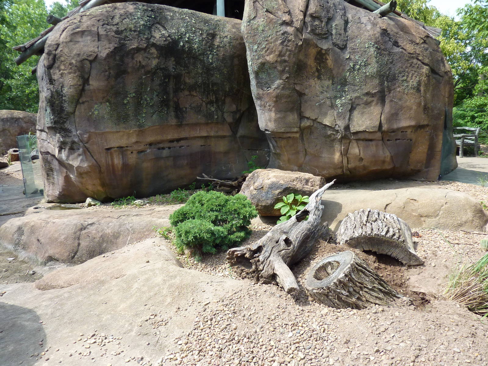Pride Of The Plains - Meerkat Exhibit