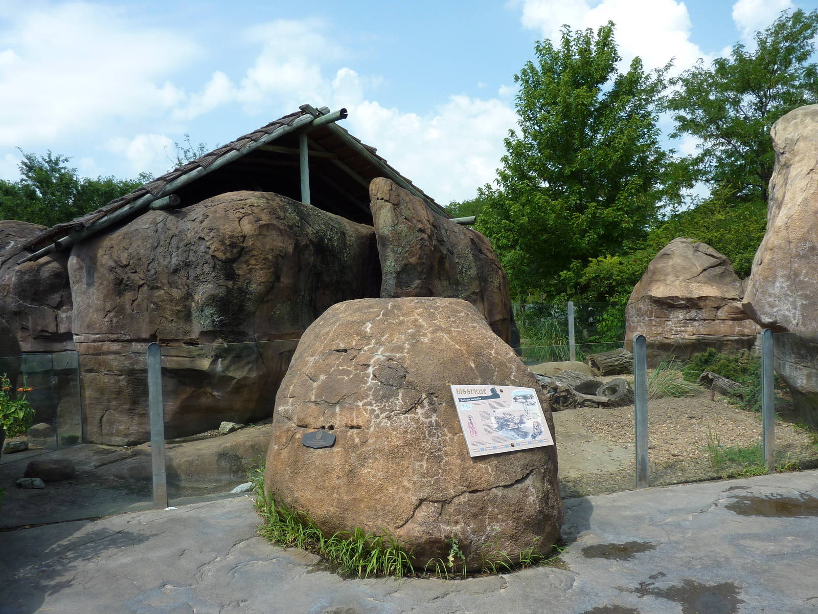 Pride Of The Plains - Meerkat Exhibit