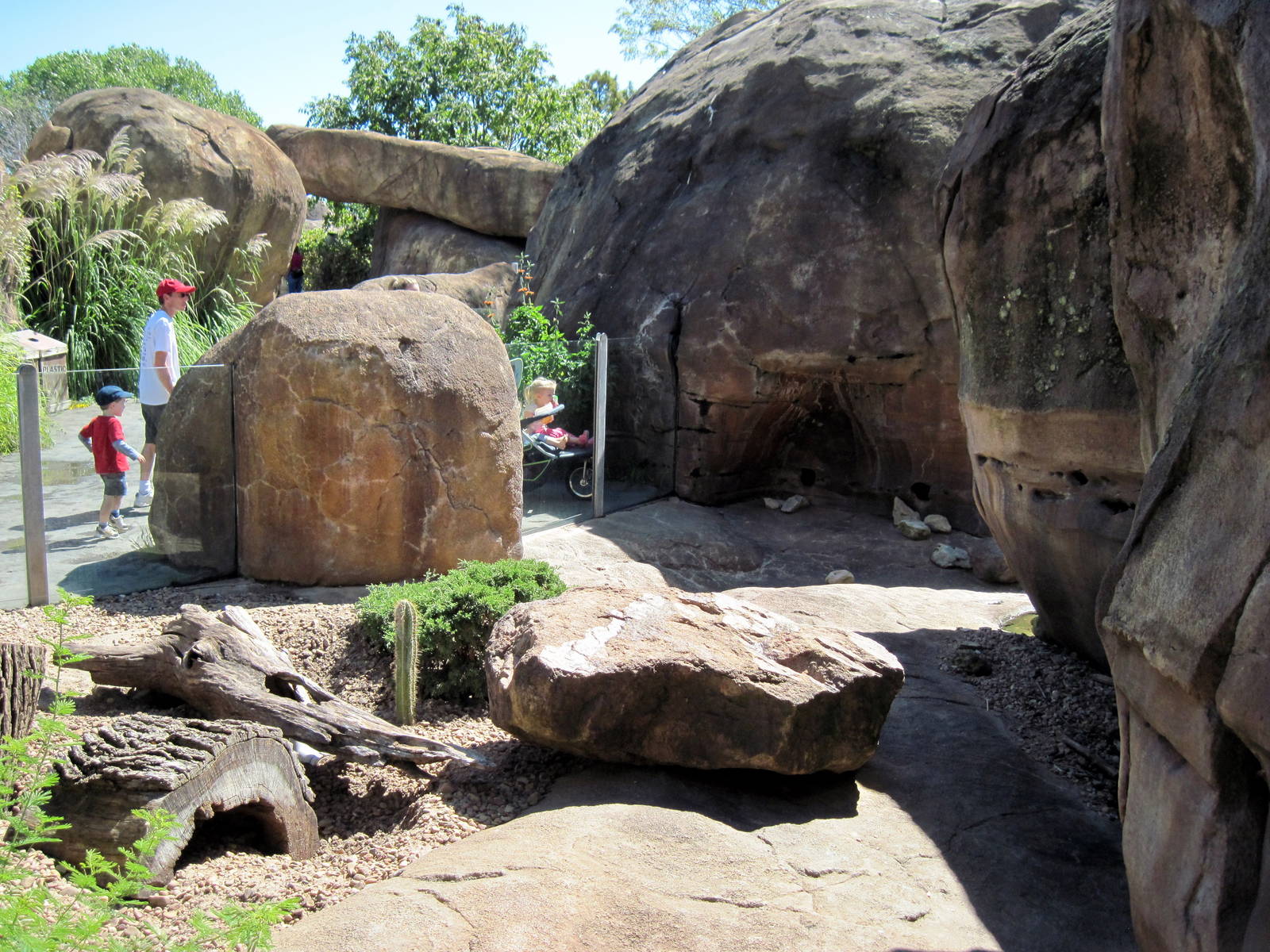 Pride of the Plains-Meerkat Exhibit