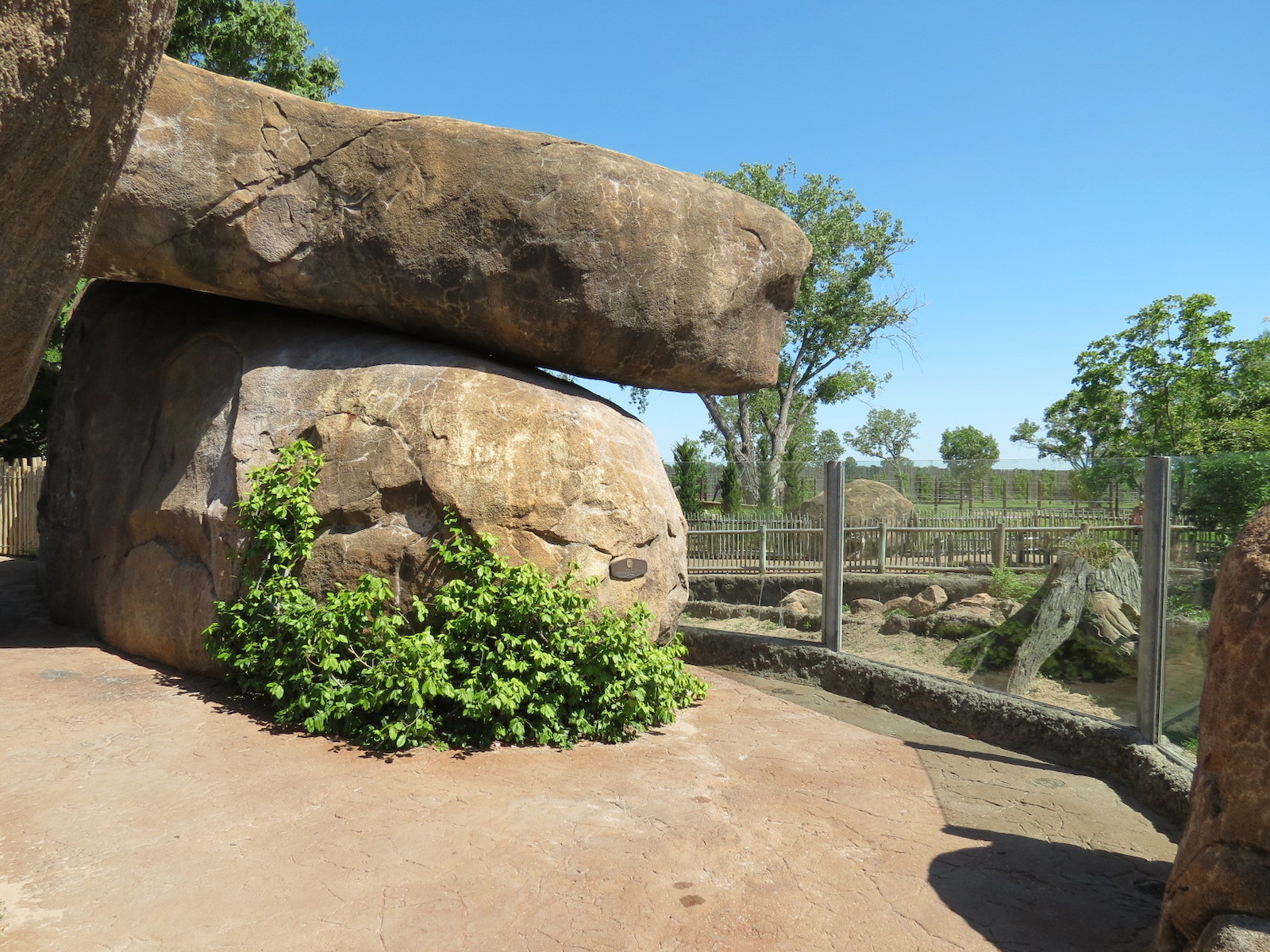 Pride of the Plains - Red River Hog Exhibit