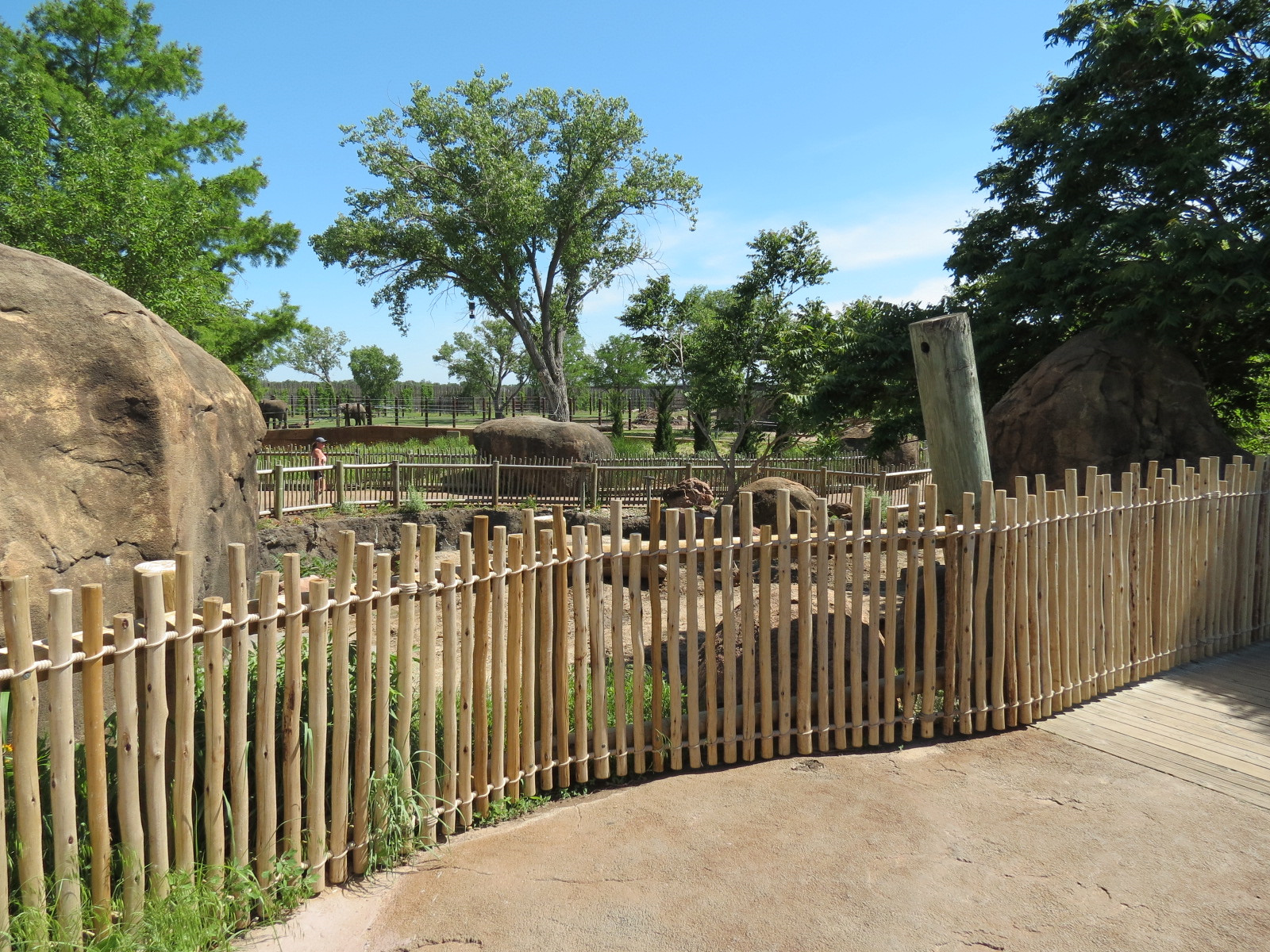 Pride of the Plains - Red River Hog Exhibit