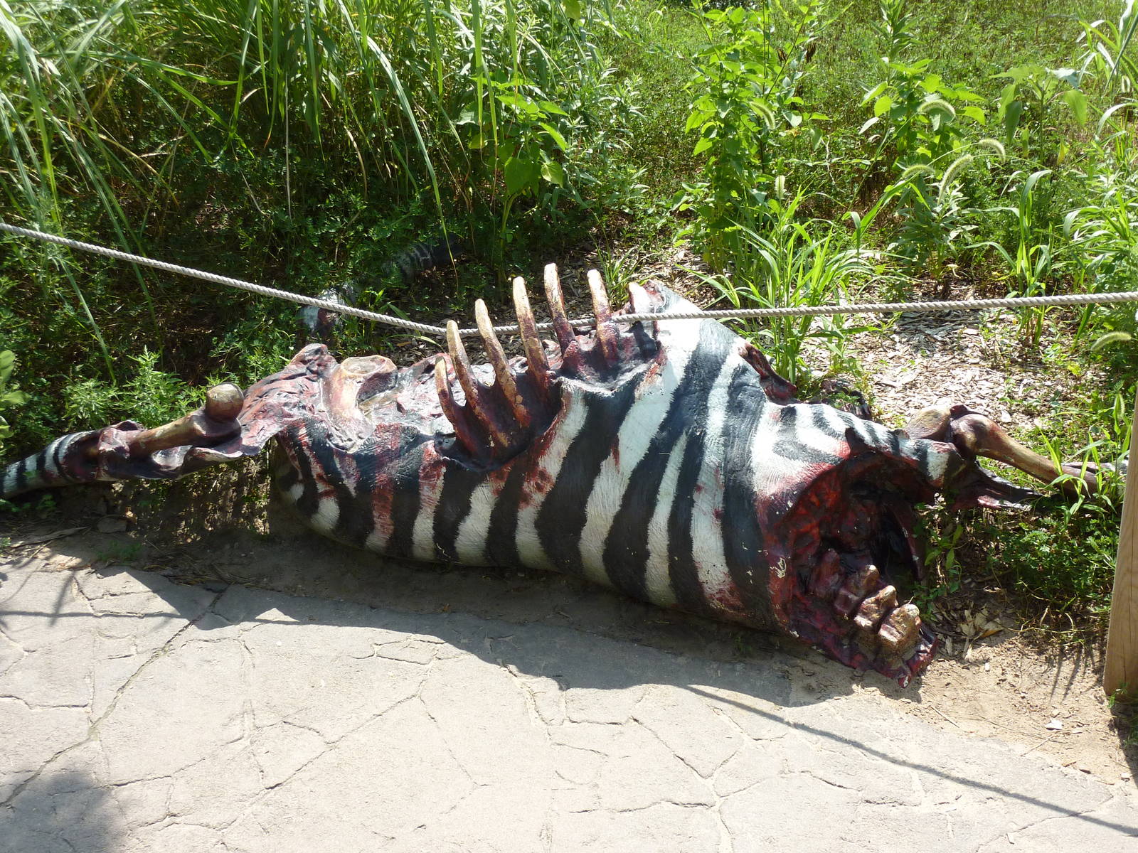 Pride Of The Plains - Visitor Pathway