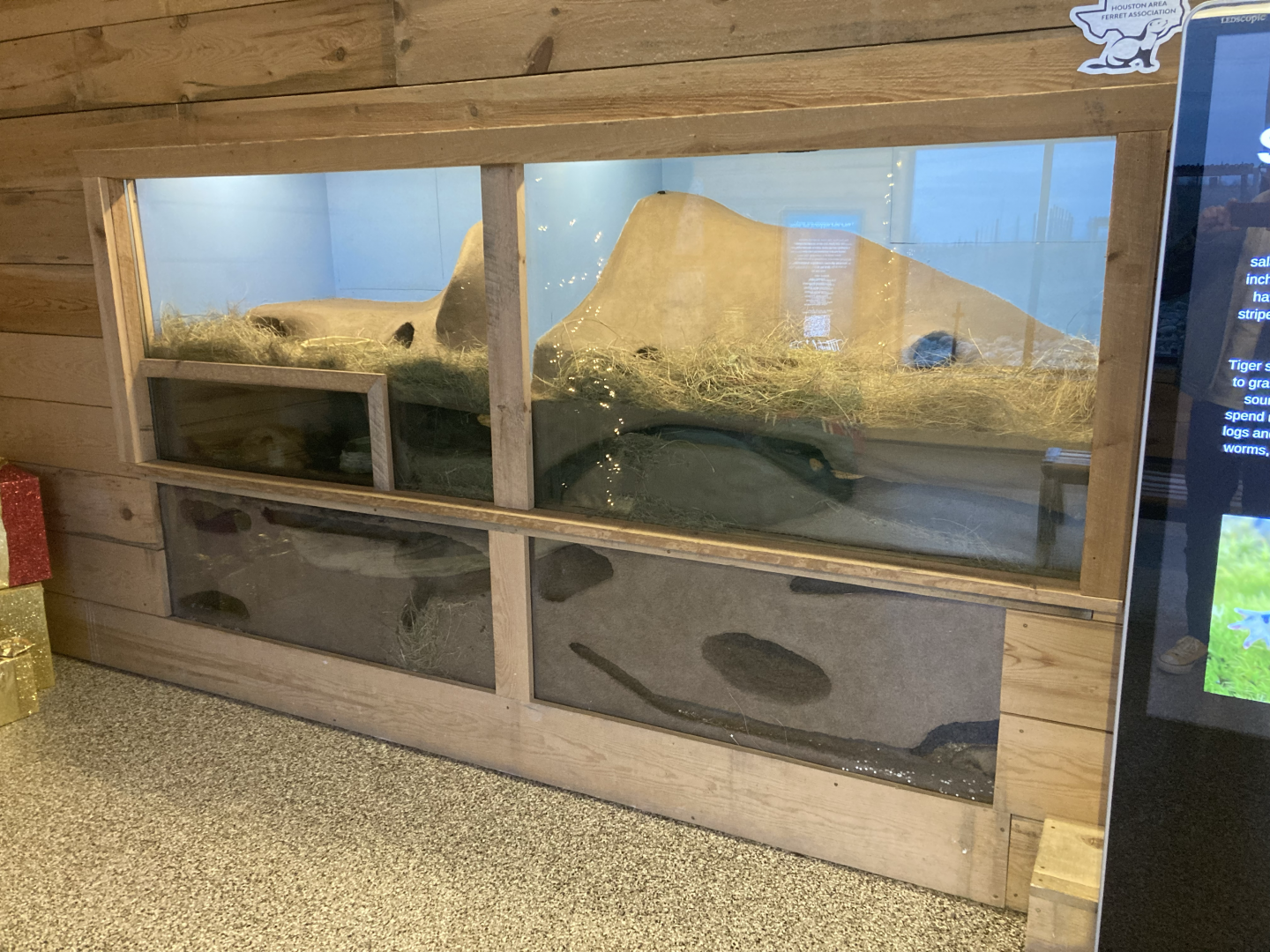 Pride of the Prairie - Black-footed Ferret Exhibits