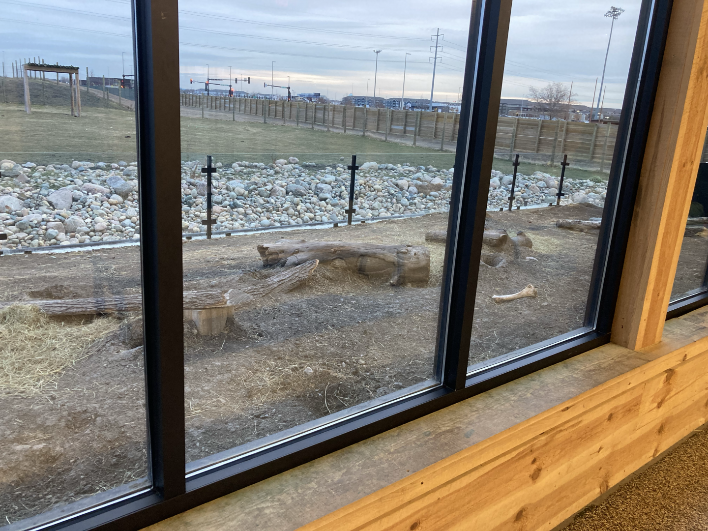Pride of the Prairie - Prairie Dog Exhibit
