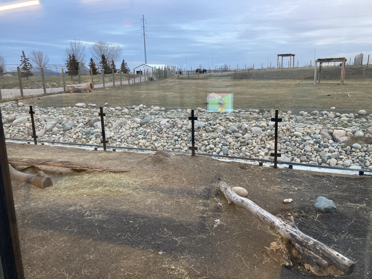 Pride of the Prairie - Prairie Dog exhibit