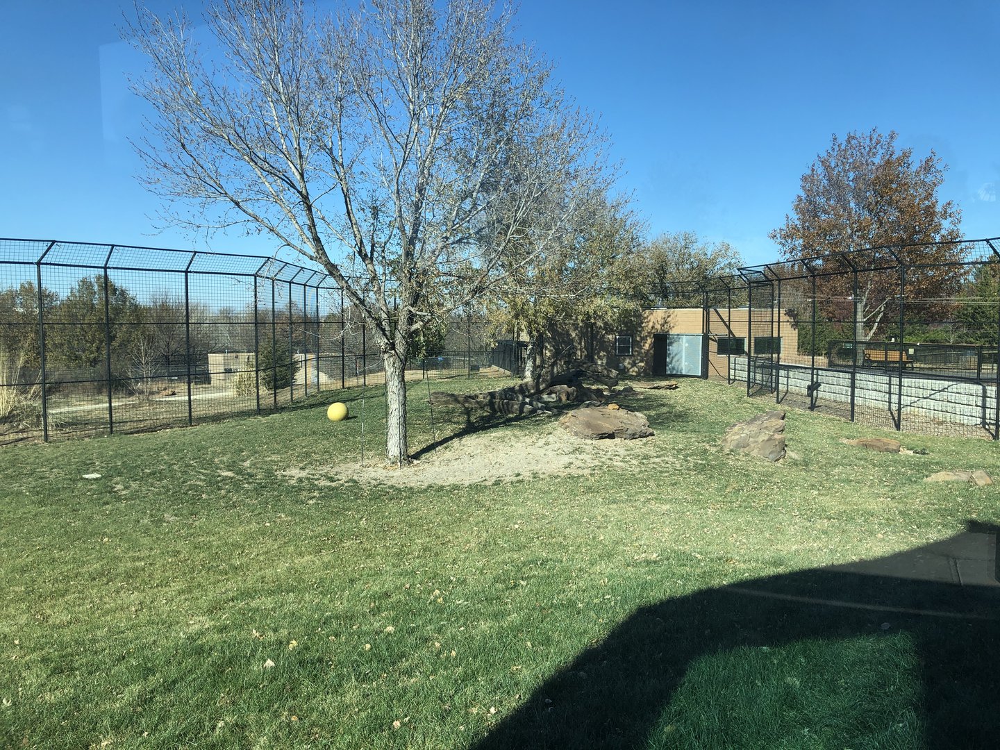 Pride of the Prairie