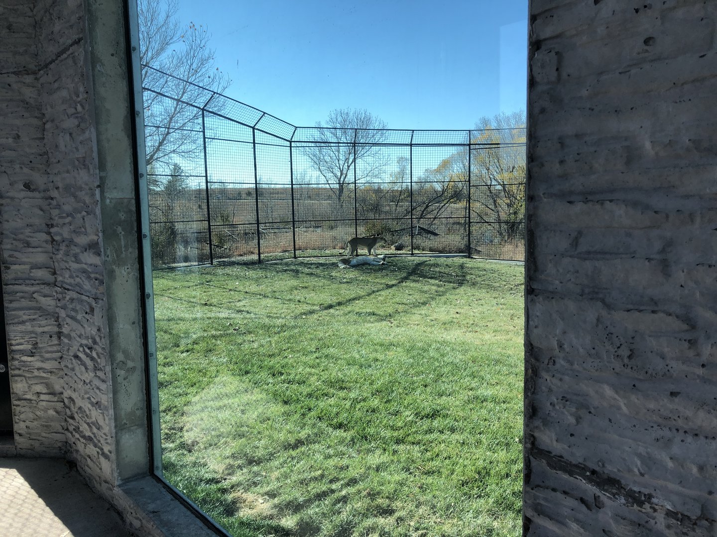 Pride of the Prairie