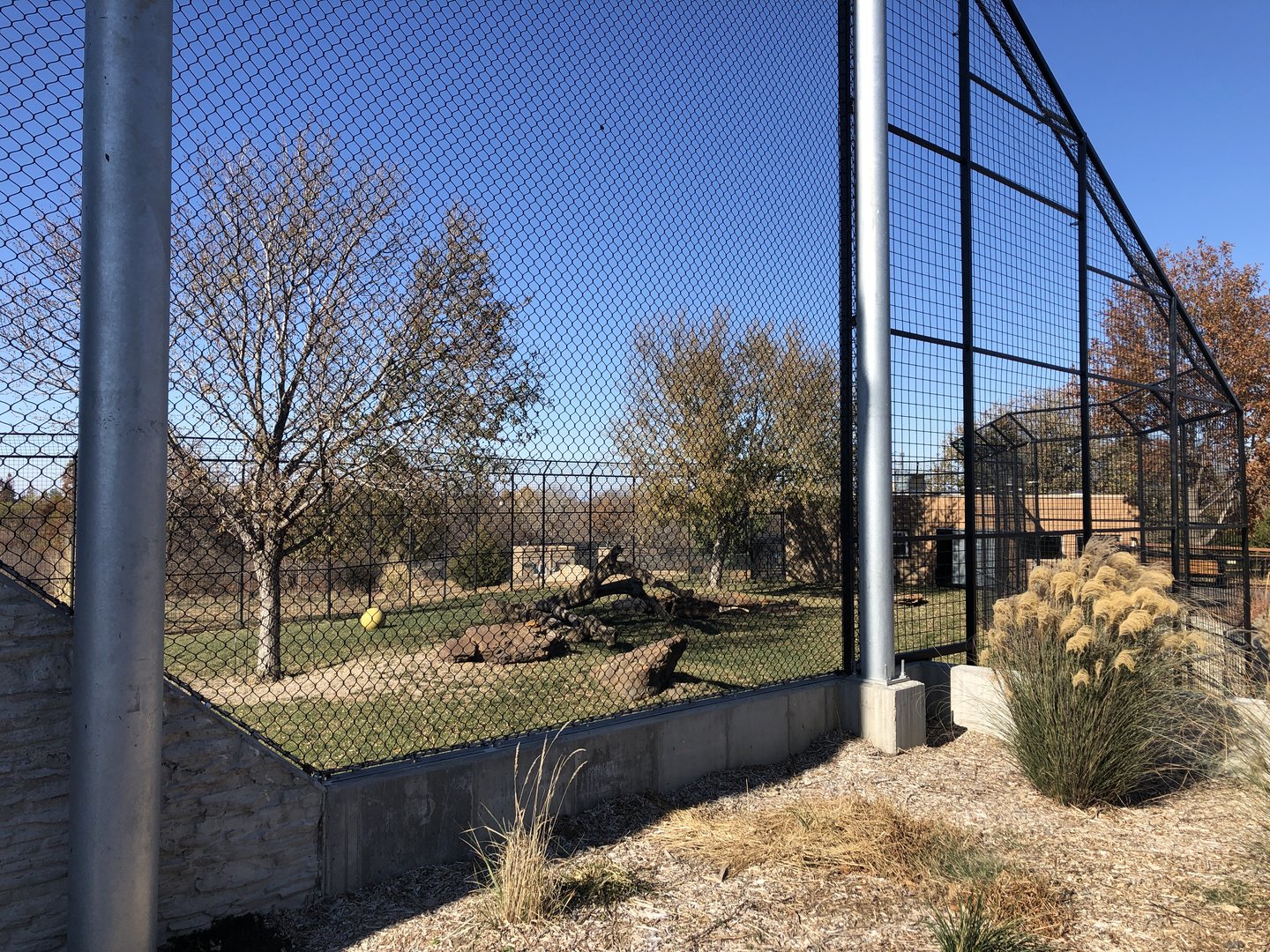 Pride of the Prairie