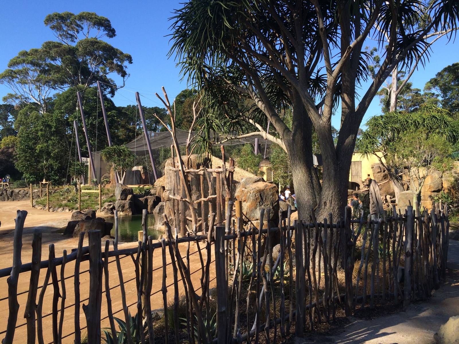 Pridelands Escarpment, April 2016