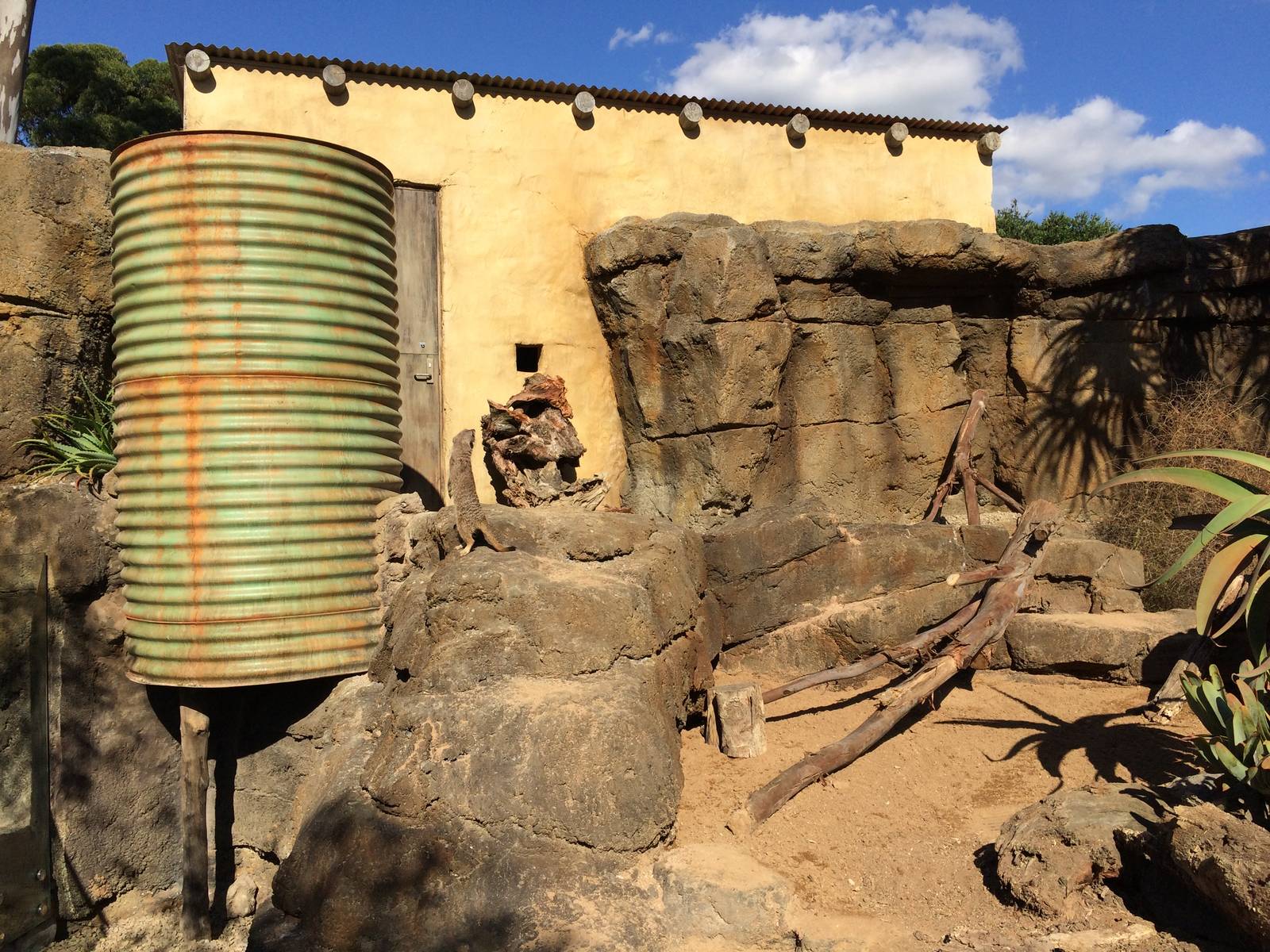 Pridelands Escarpment, Meerkat Enclosure