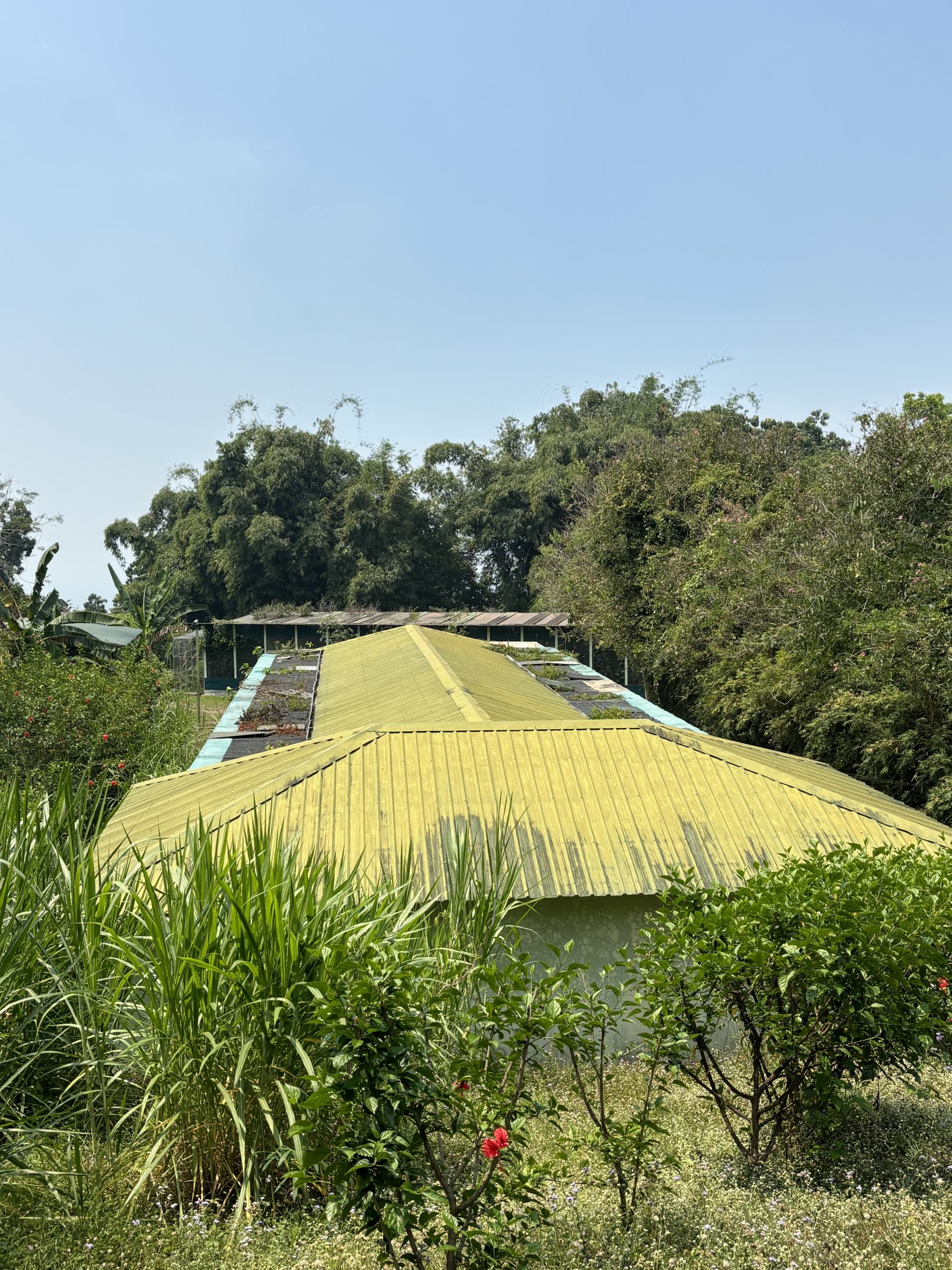 Prigen Conservation Breeding Ark