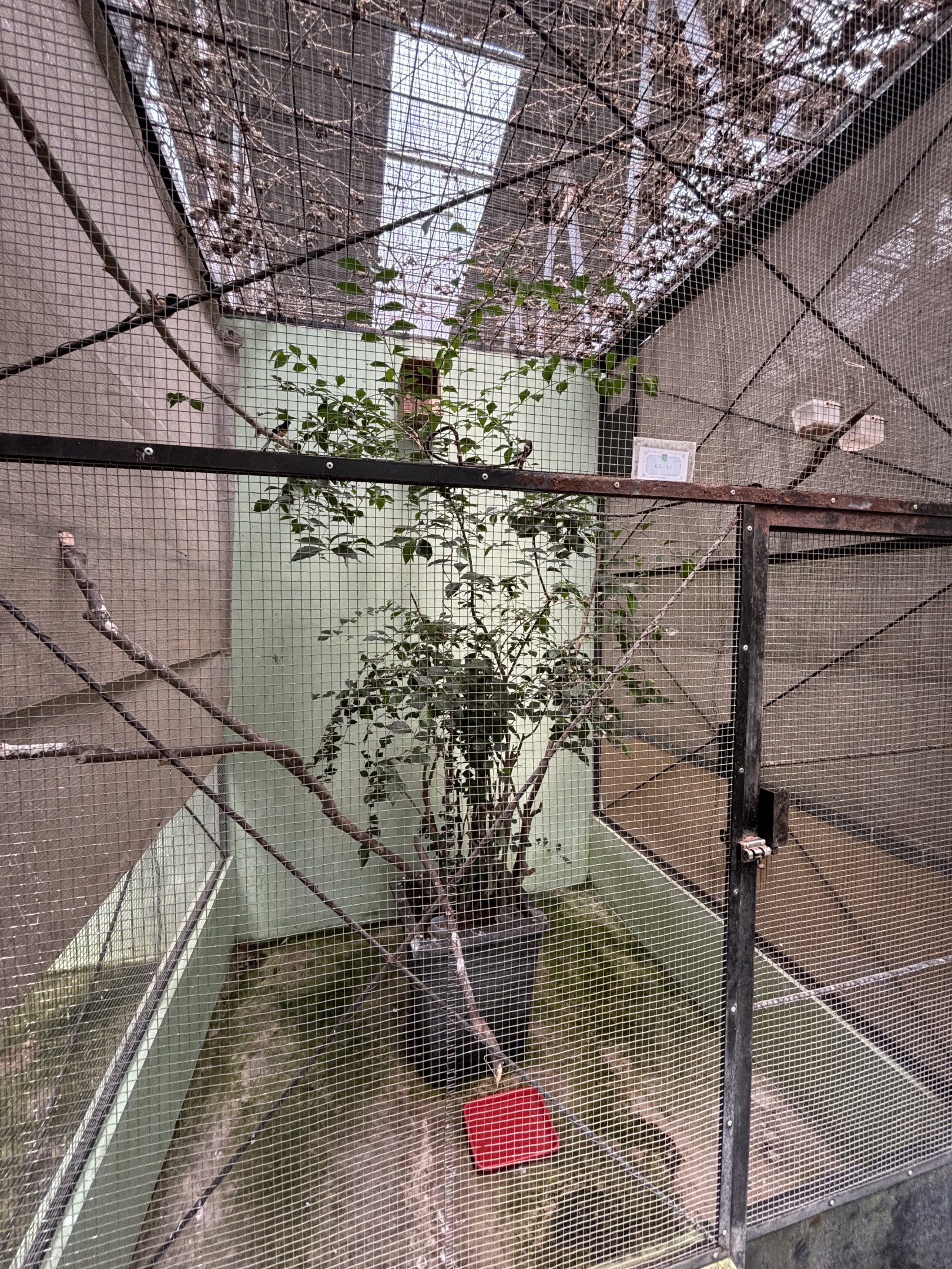 Prigen Conservation Breeding Ark