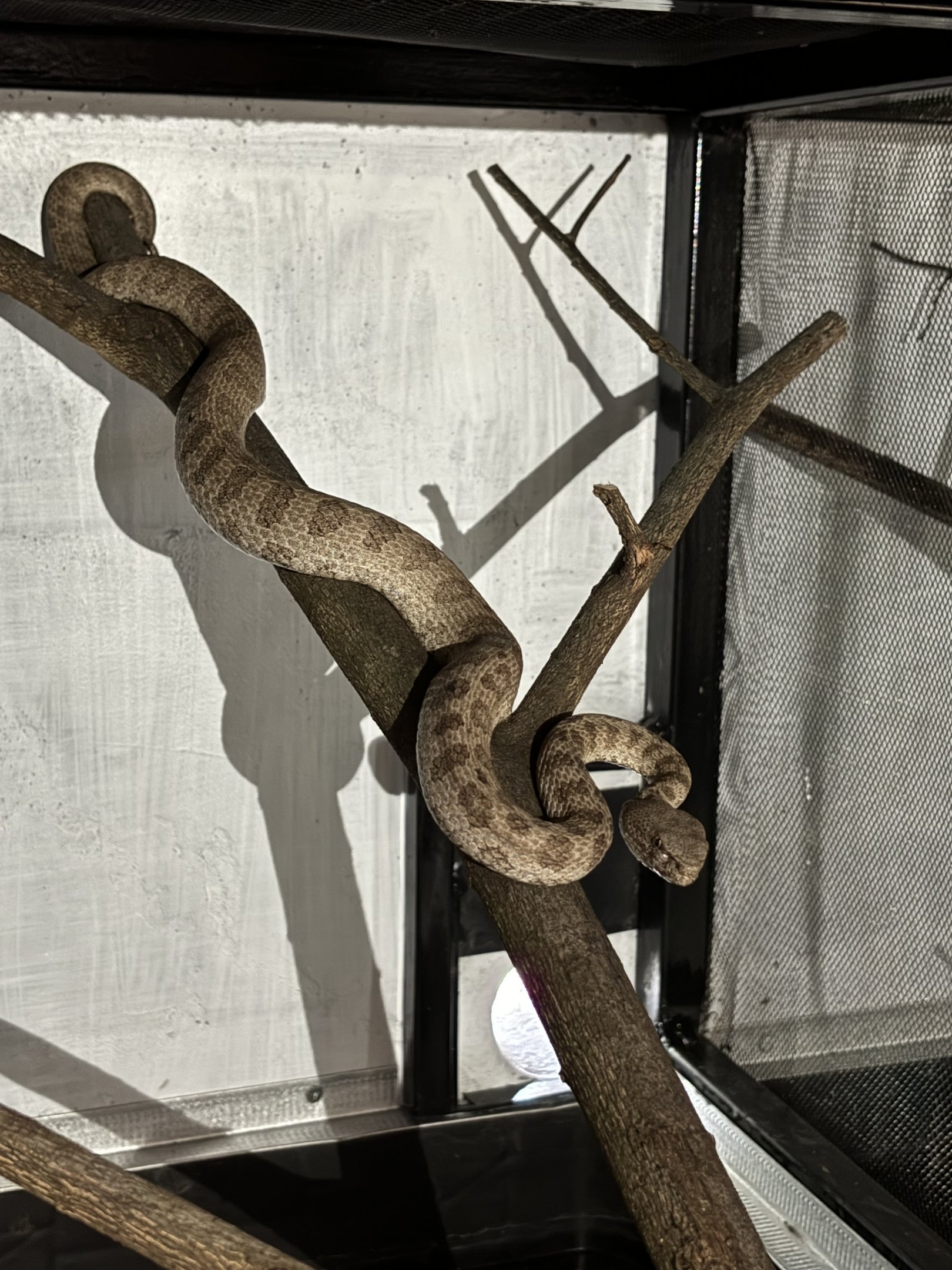 Prigen Conservation Breeding Ark