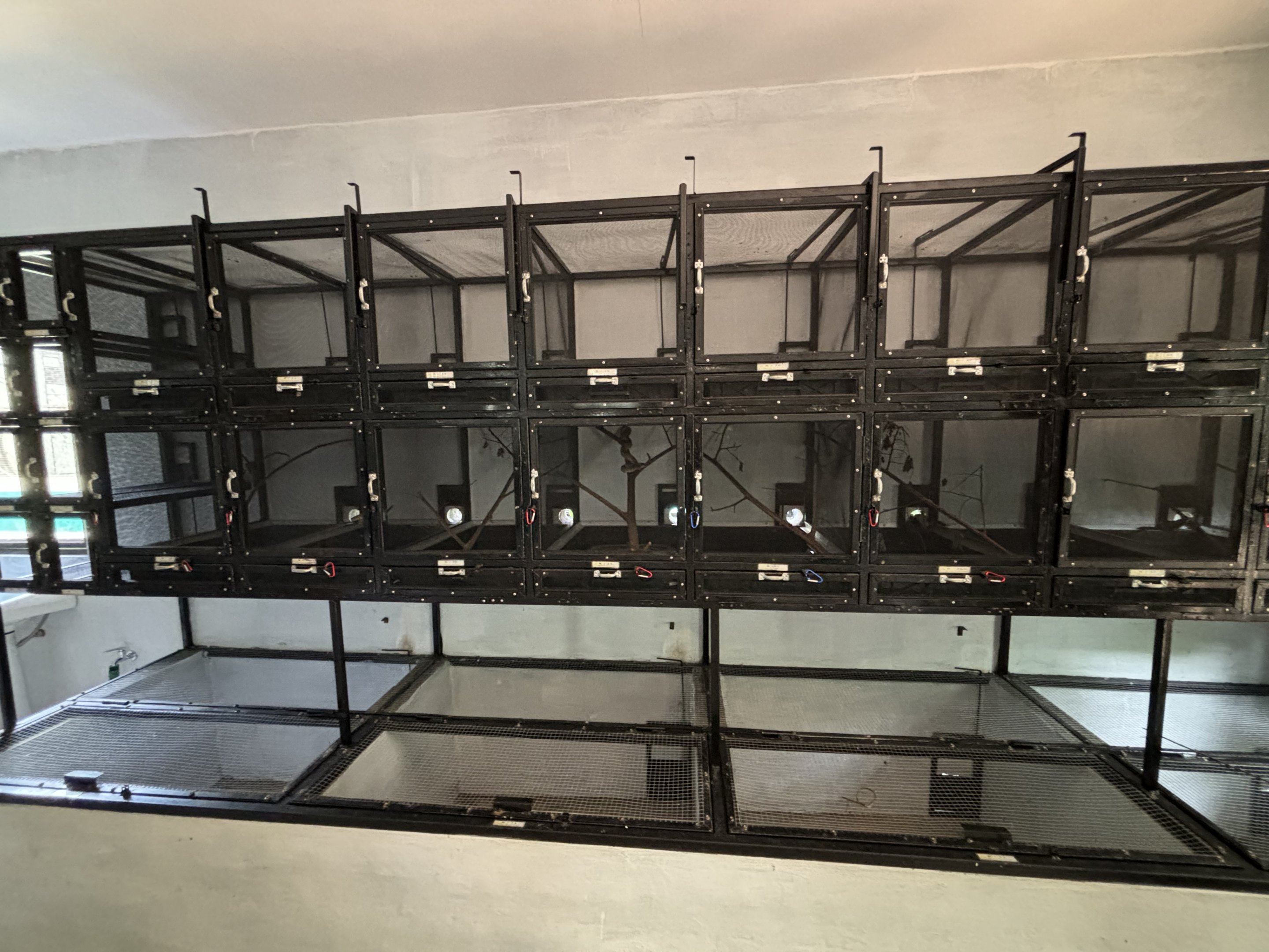 Prigen Conservation Breeding Ark