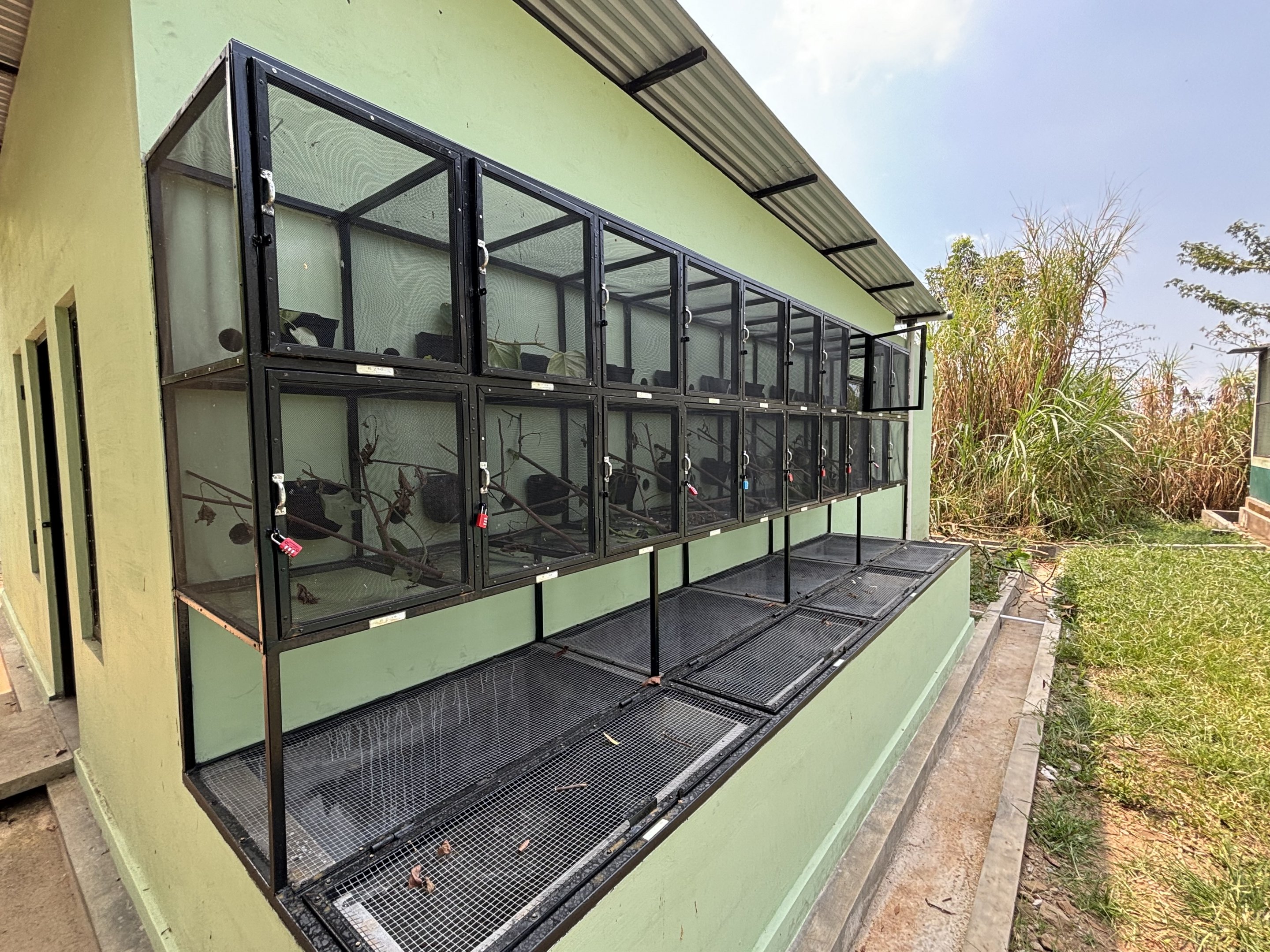 Prigen Conservation Breeding Ark