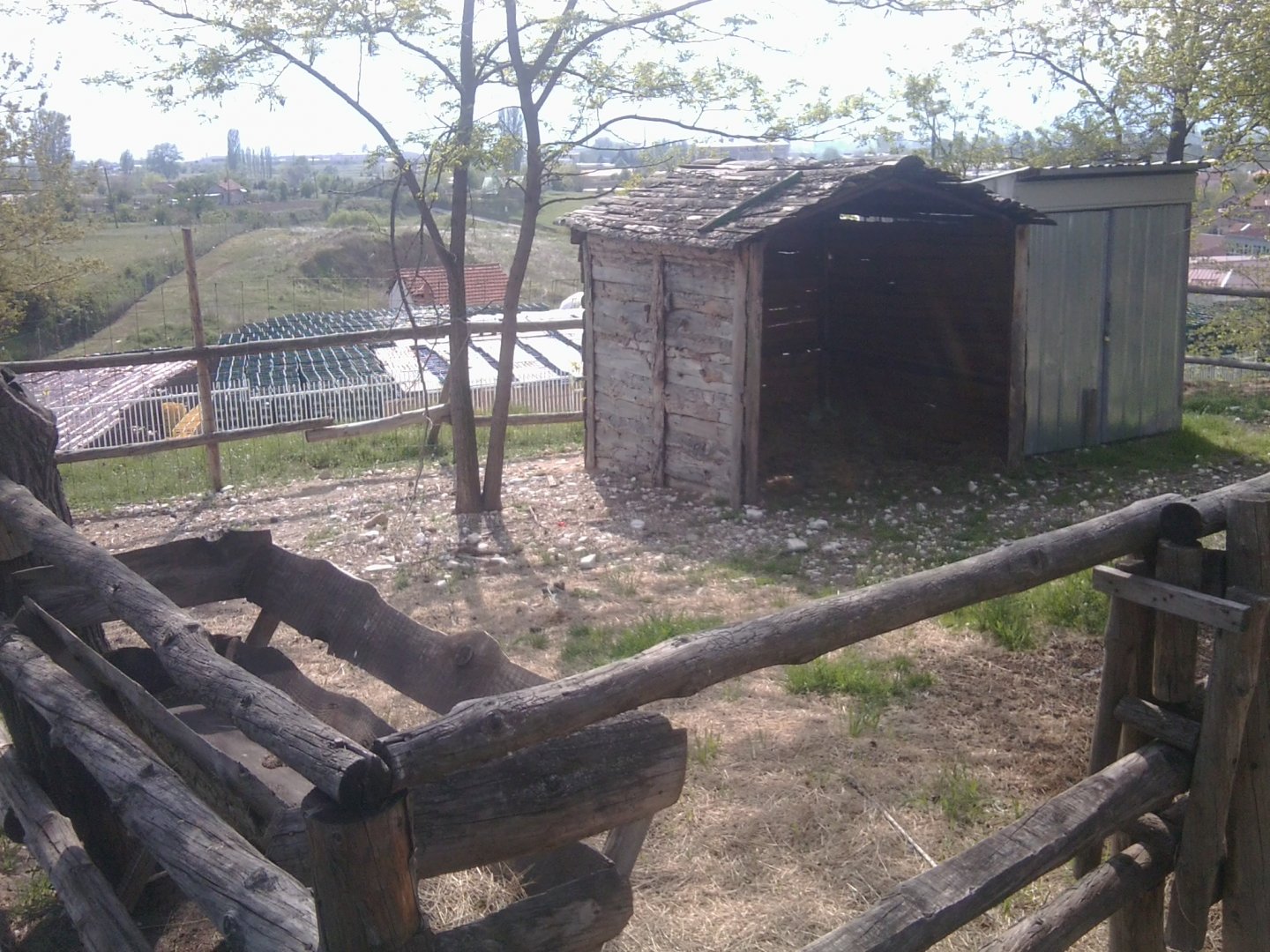 Prilep petting garden - Liama enclosure