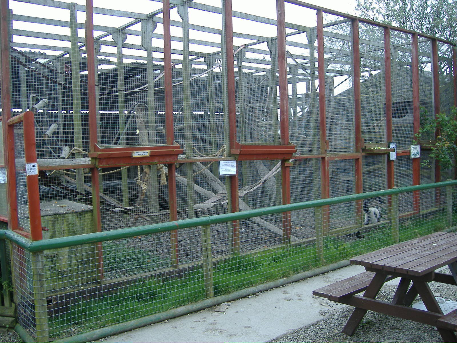 Primate and raccoon cages Animalarium