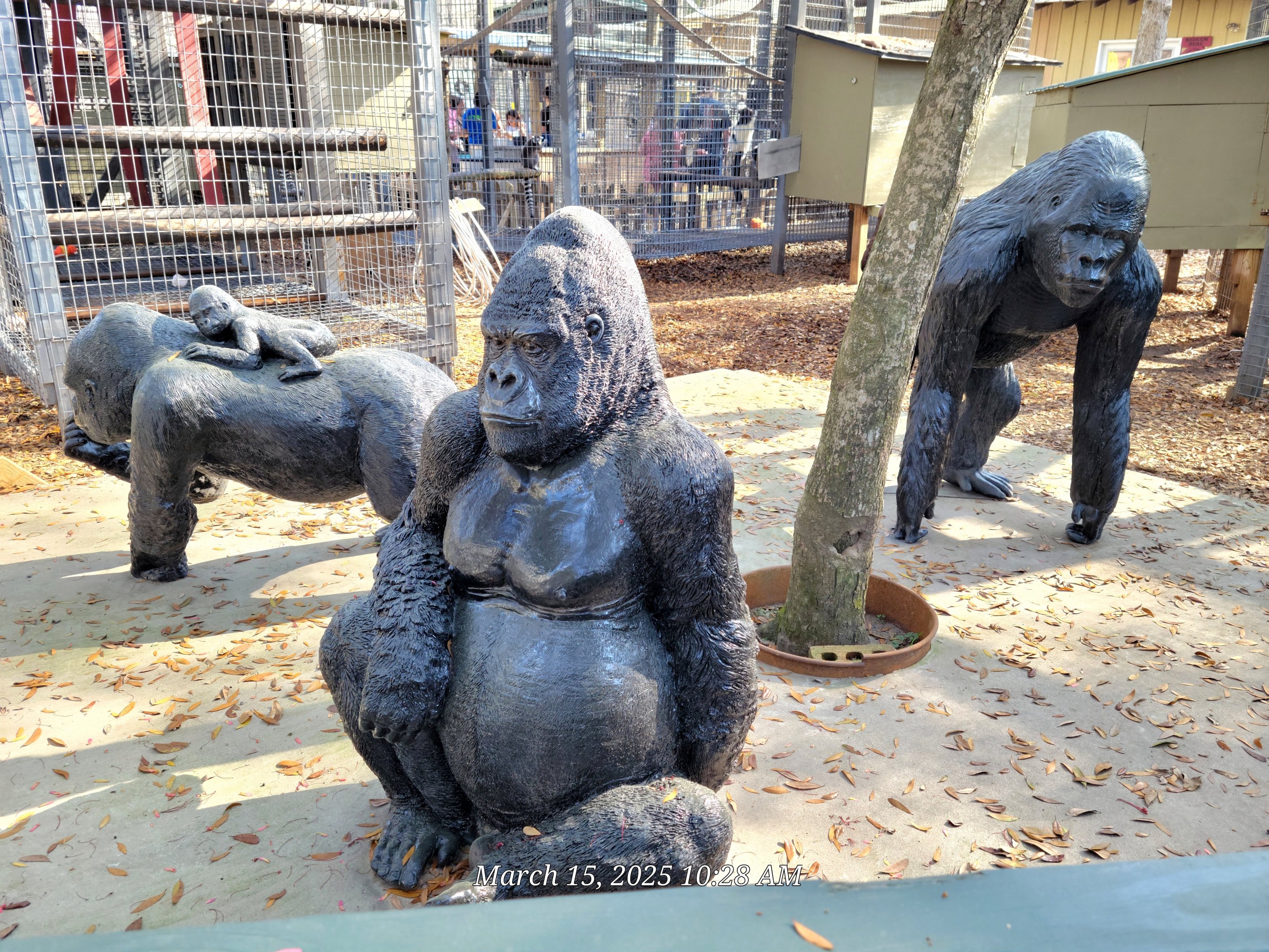 Primate Area Sculptures - Bee City Zoo - March 2025